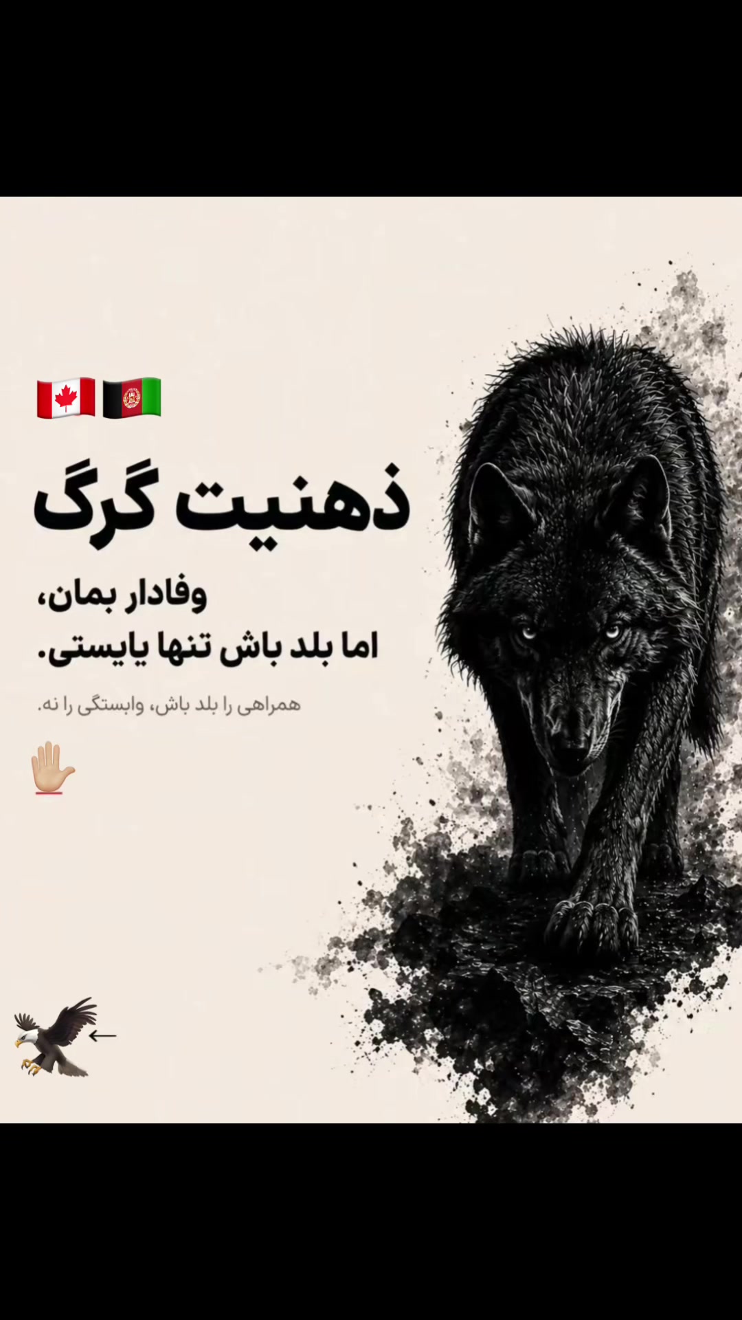 @Abdul Sami Fayzi-The Lone Wolf