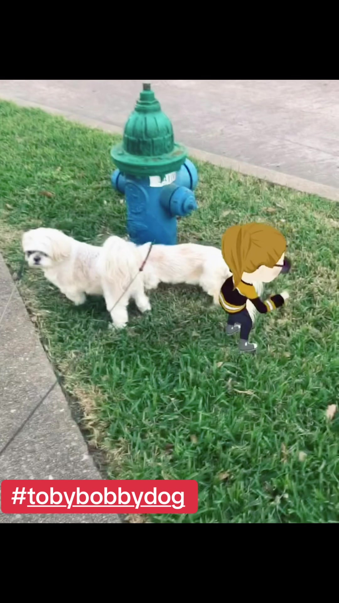 @Tobybobbydog