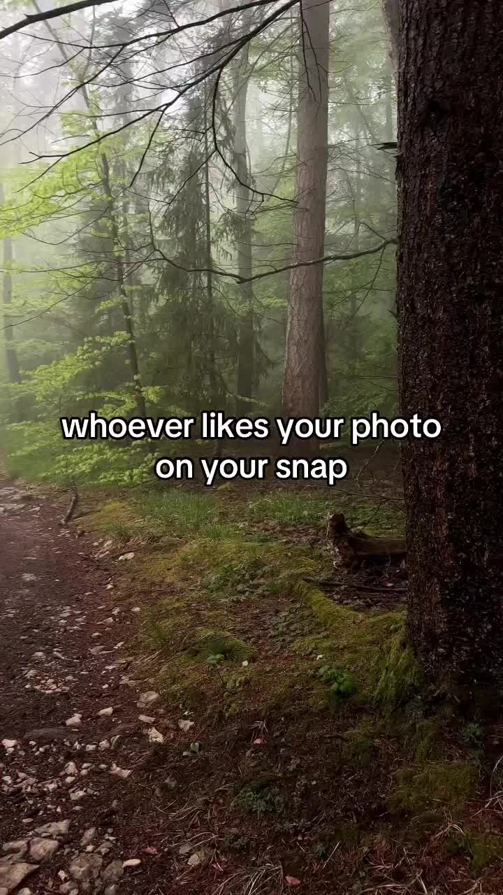 @Haley