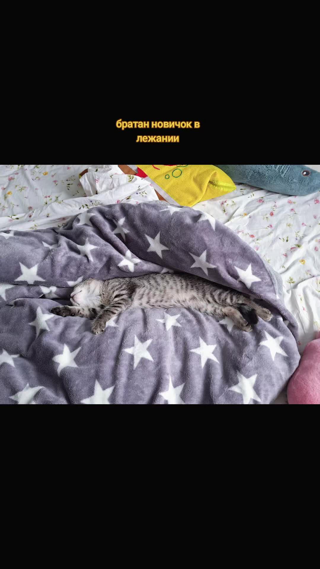 @лаваш