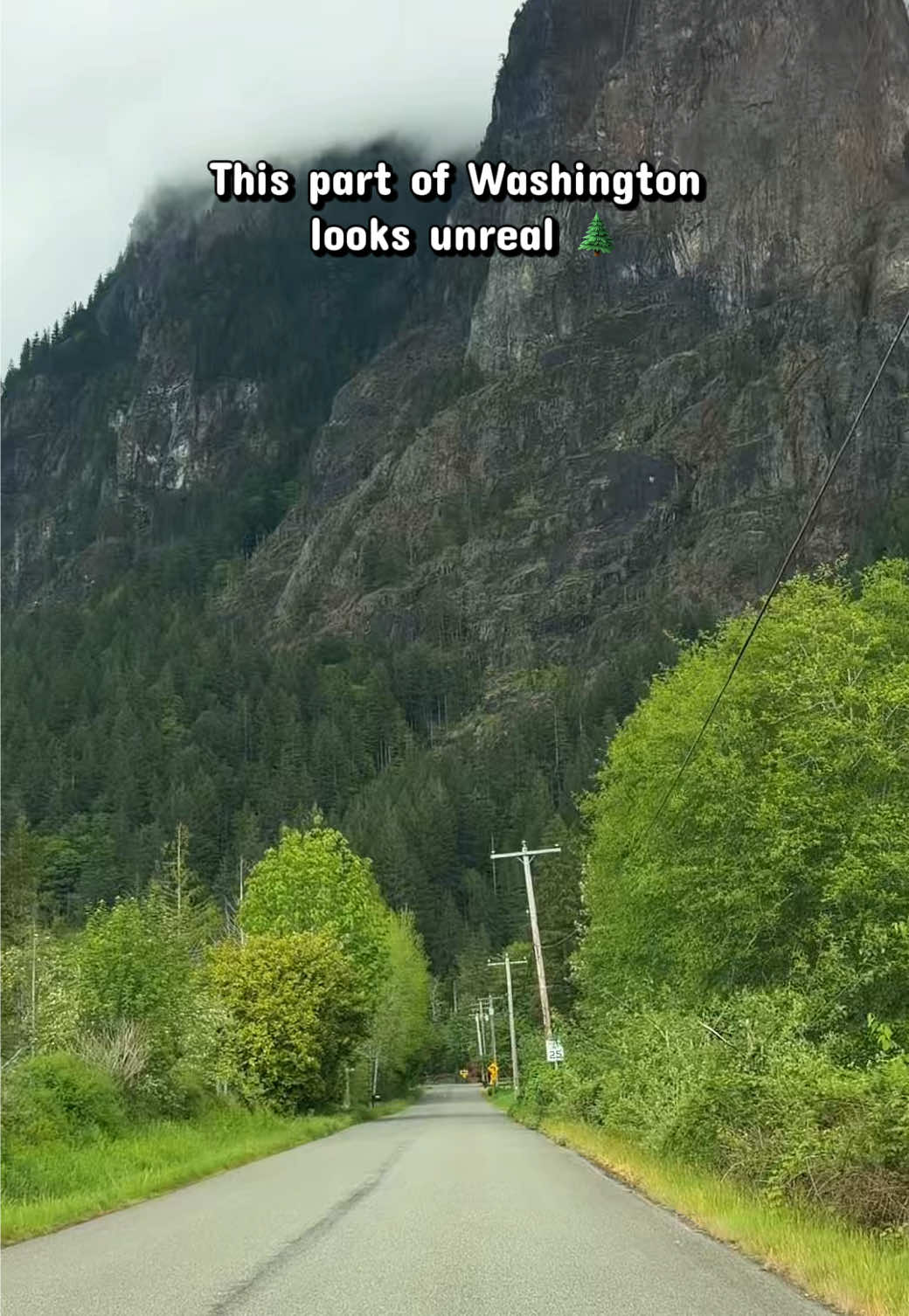 @Washington Vibes