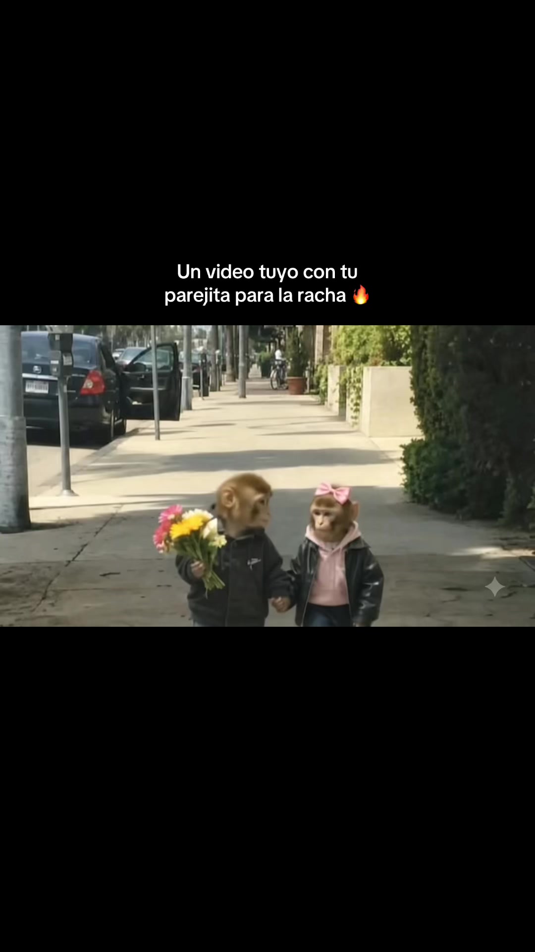 @RabPesito 🔥