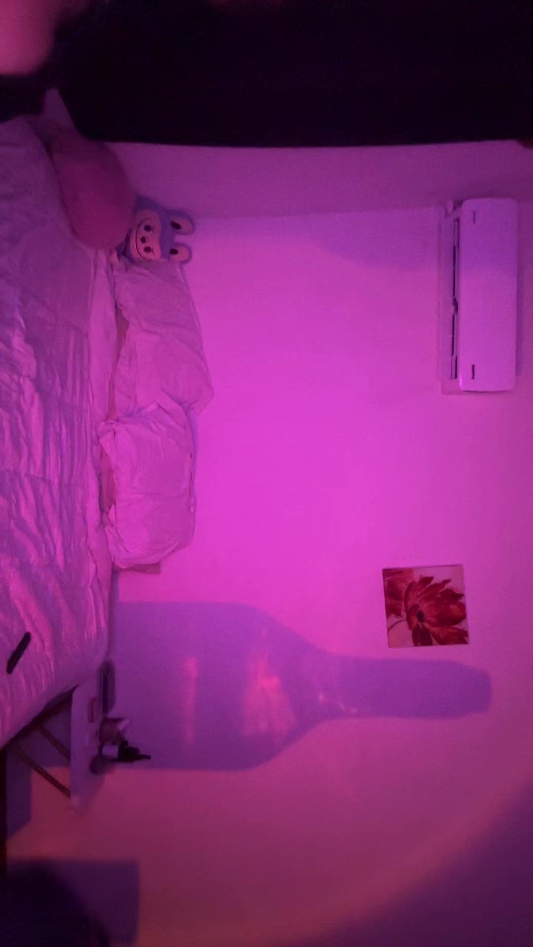 @Alicia Arcos 🦥