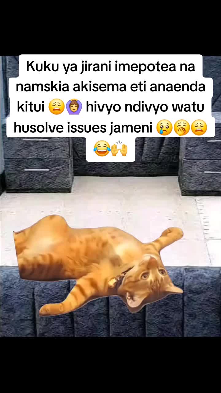 @Miss Vibez ๐ค๐๐