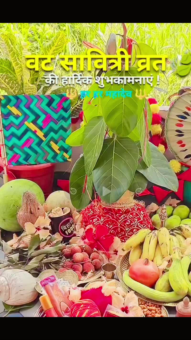 @Dami Bazar