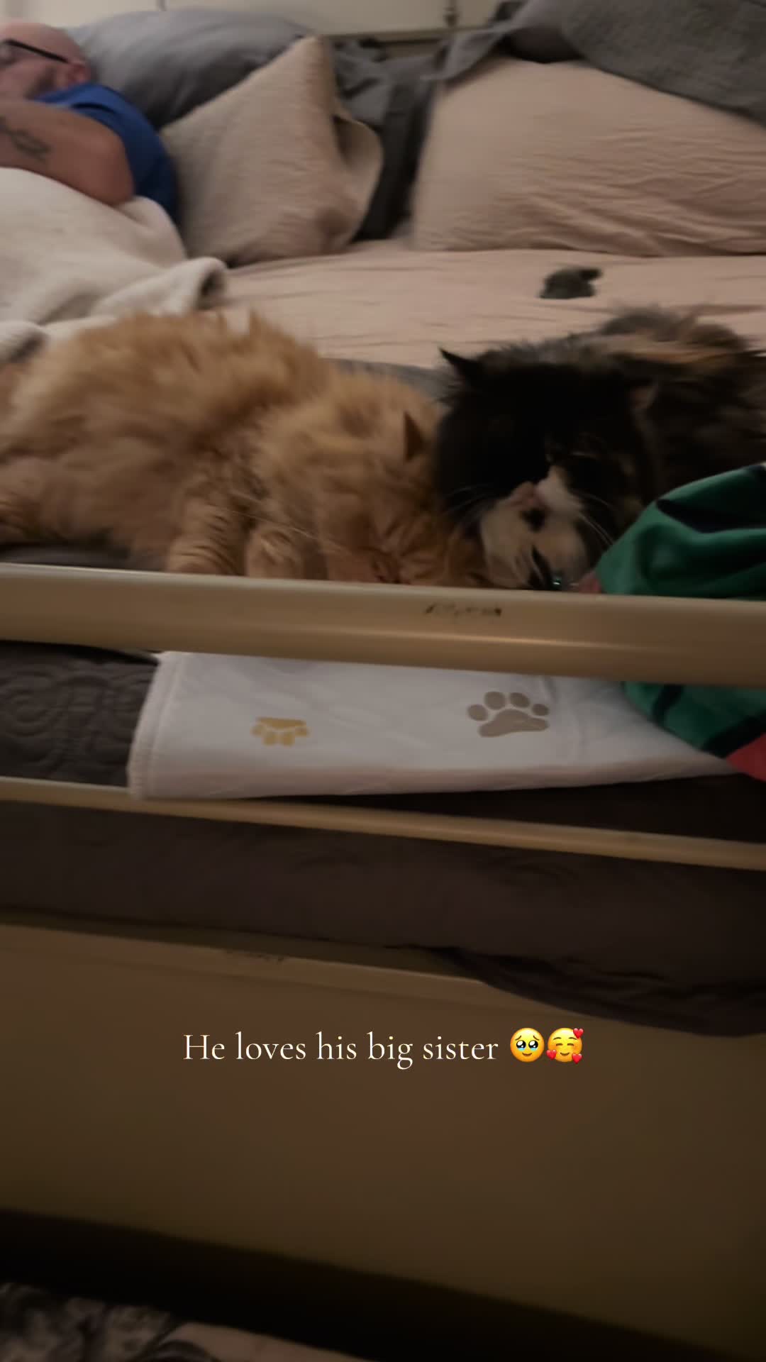@Melissa’s9Lilfluffs