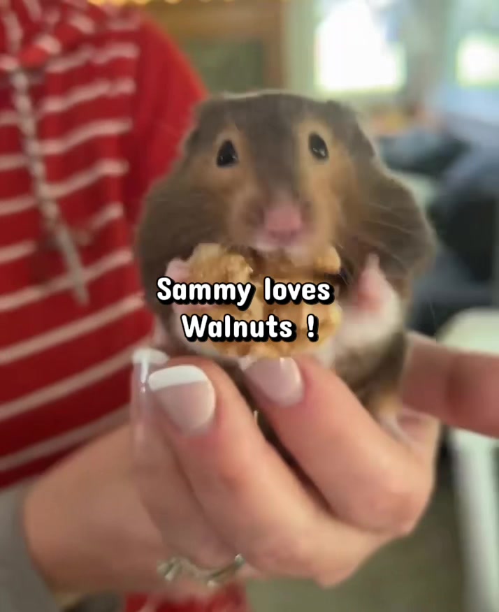 @TwoTeachersOnePlan
