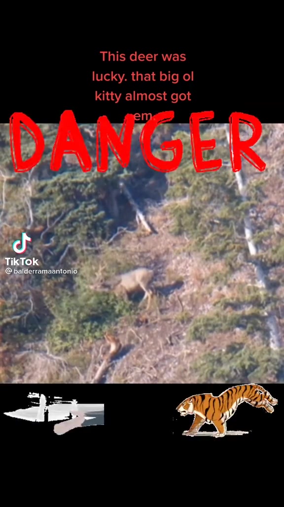 @SasquatchOutdoors505
