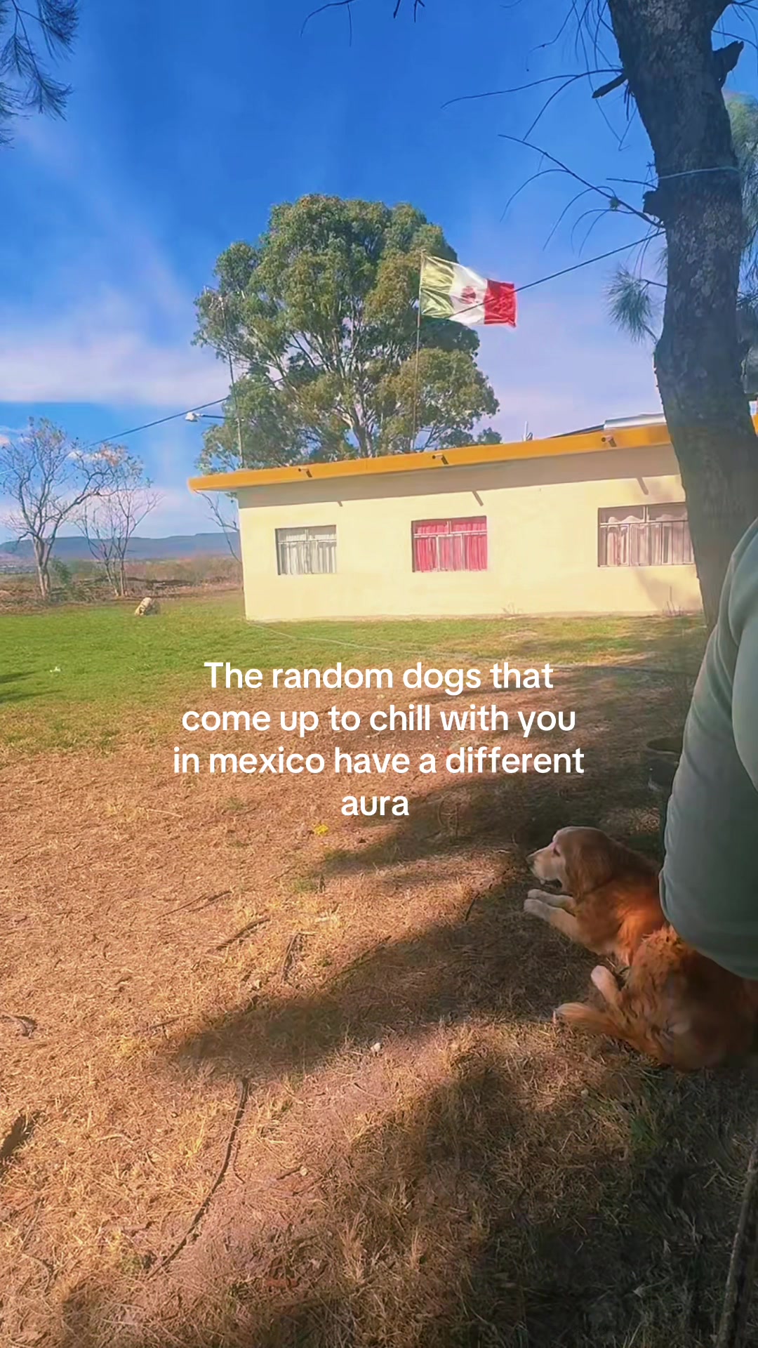 @Pris