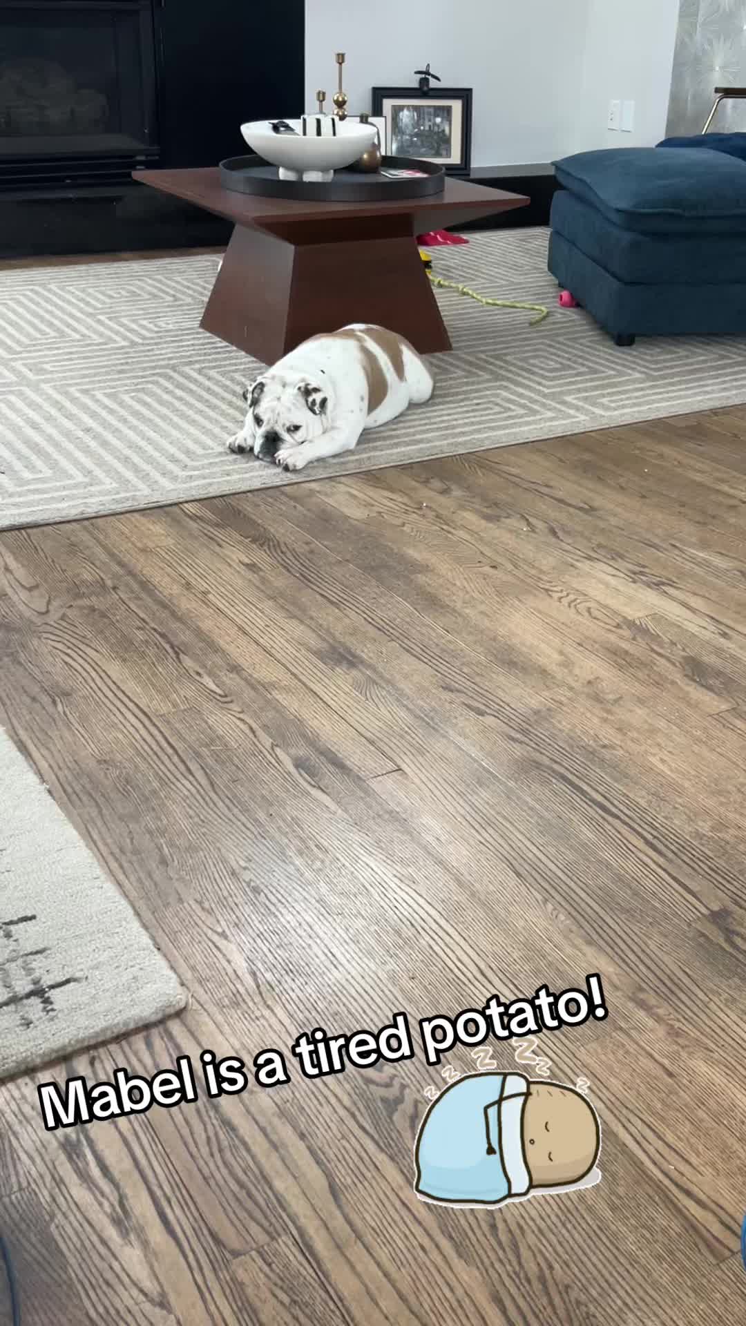 @MabeltheBulldog