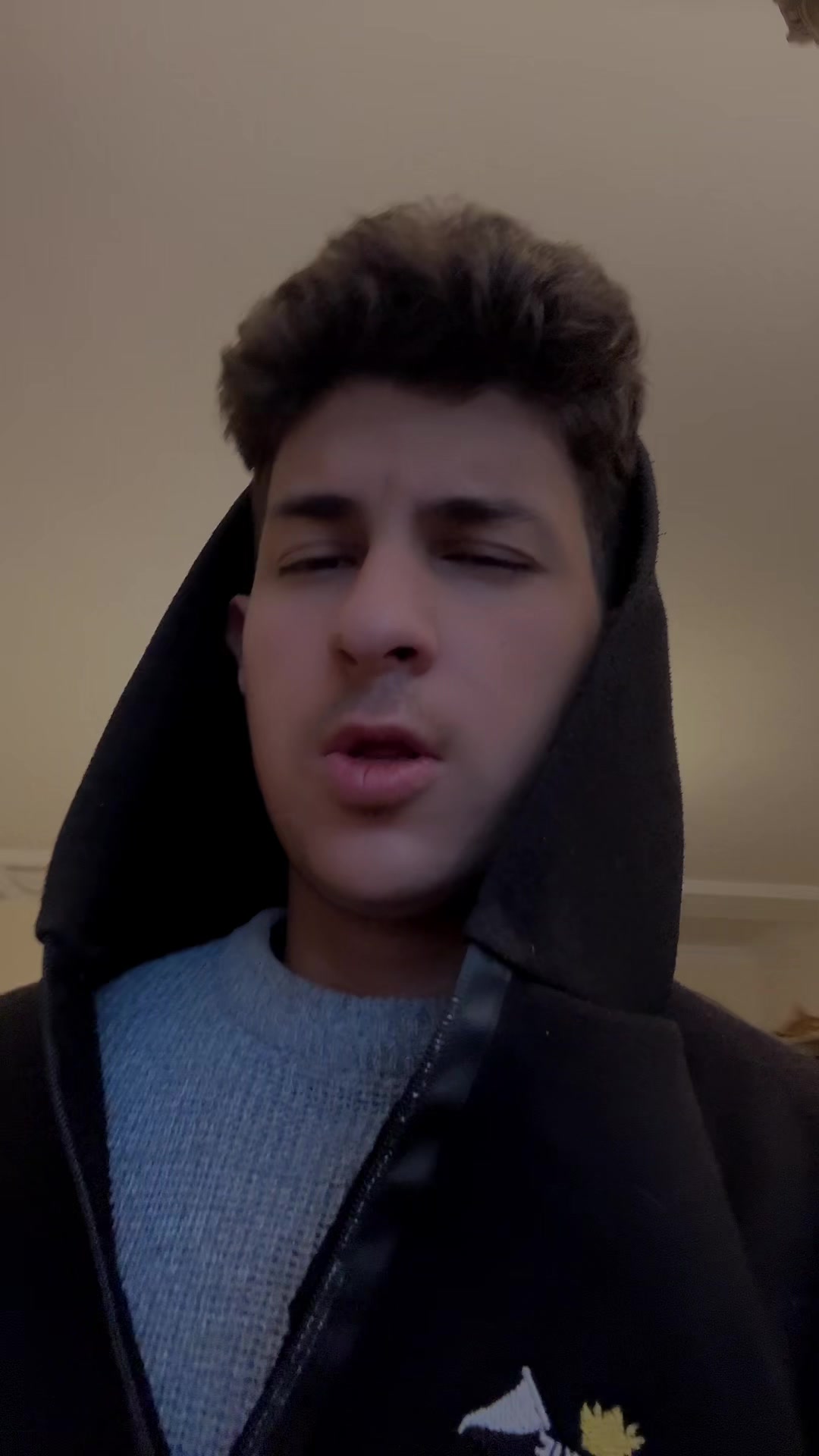 @soheil hamidian