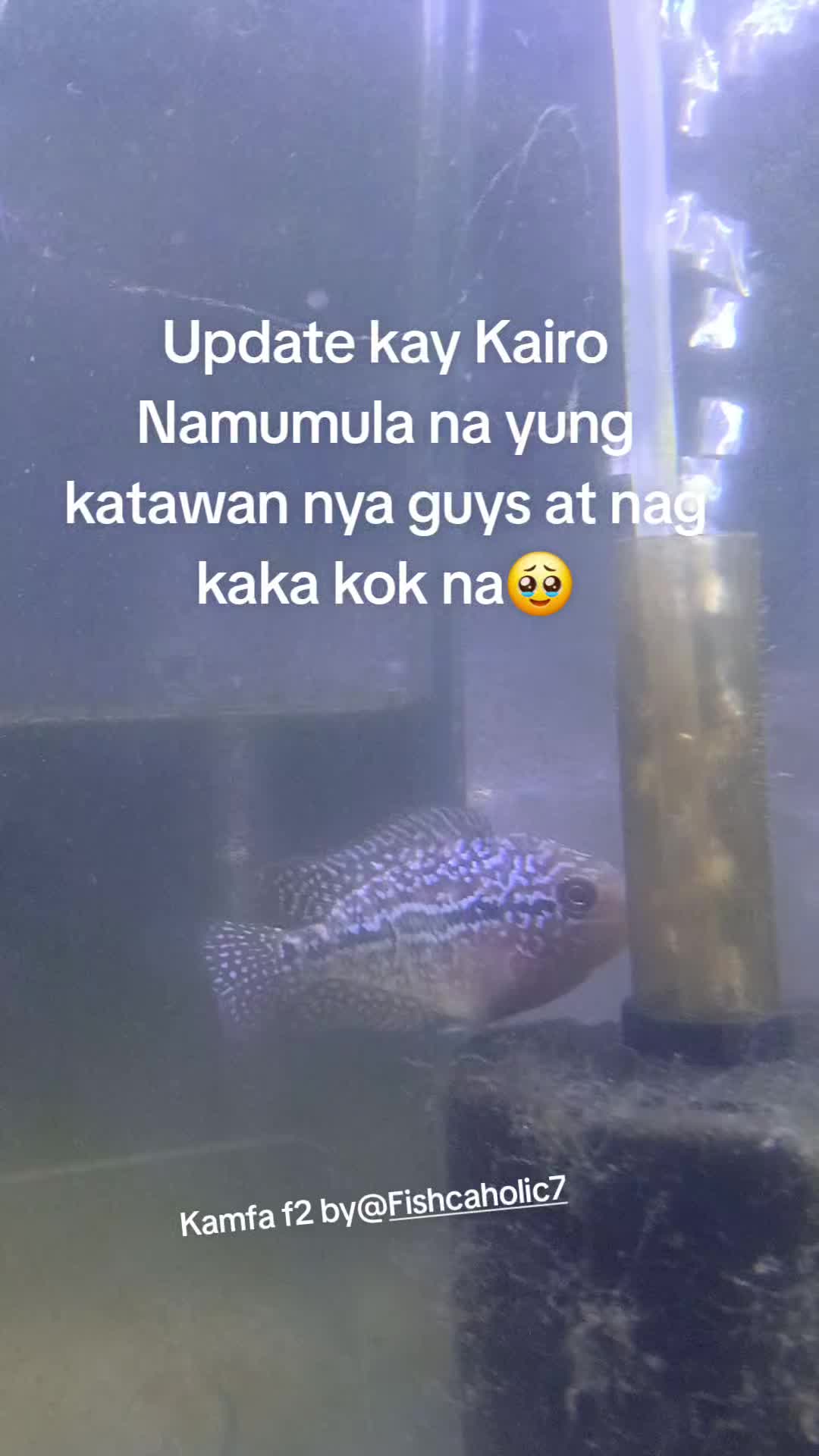 @Zai