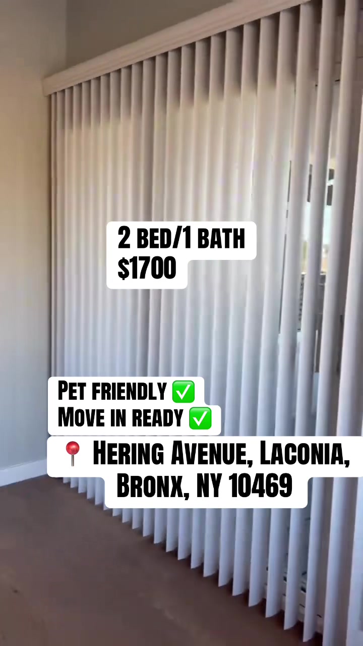 @Daily Rental Finds