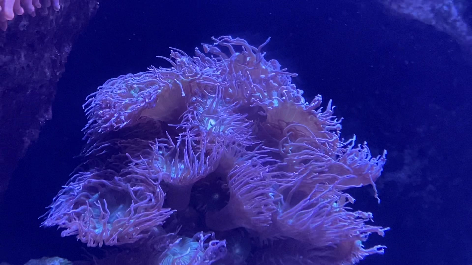 @Ts_reefs