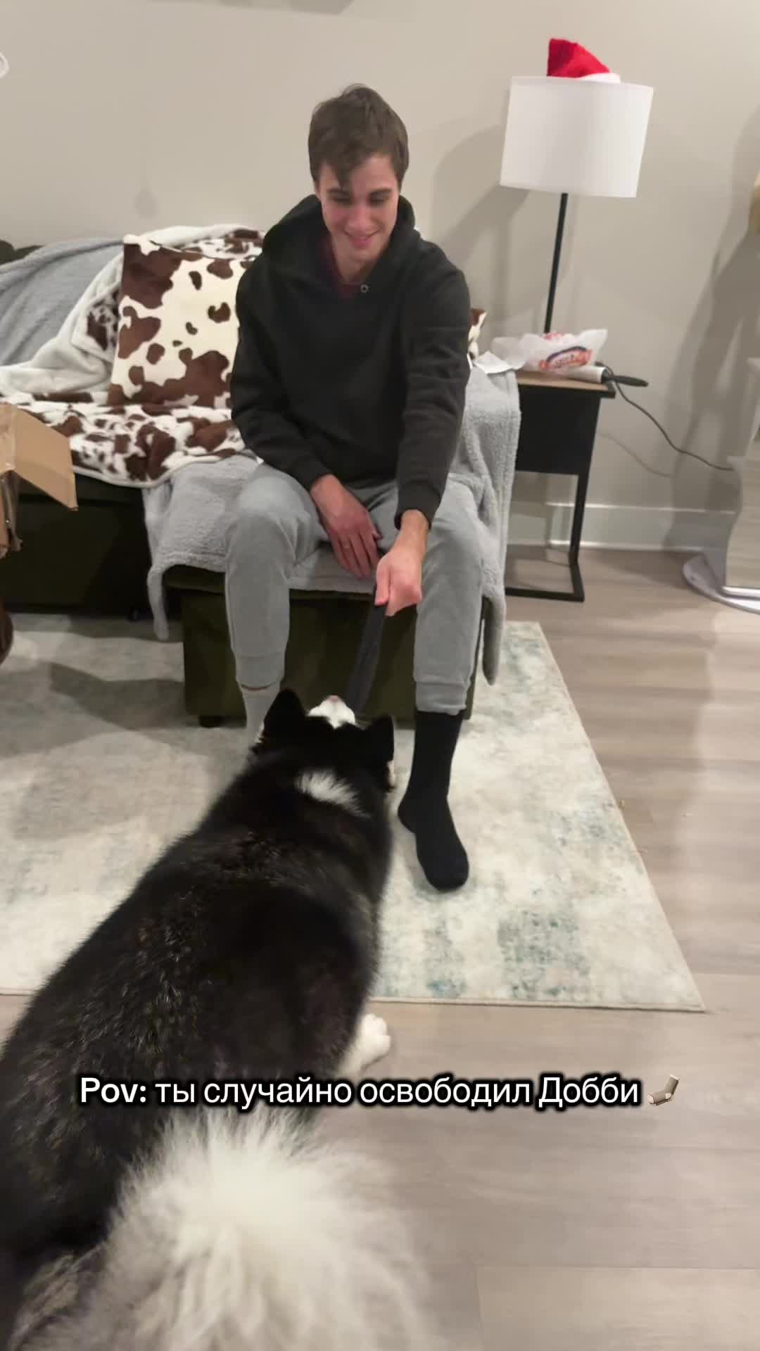 @Husky_mom