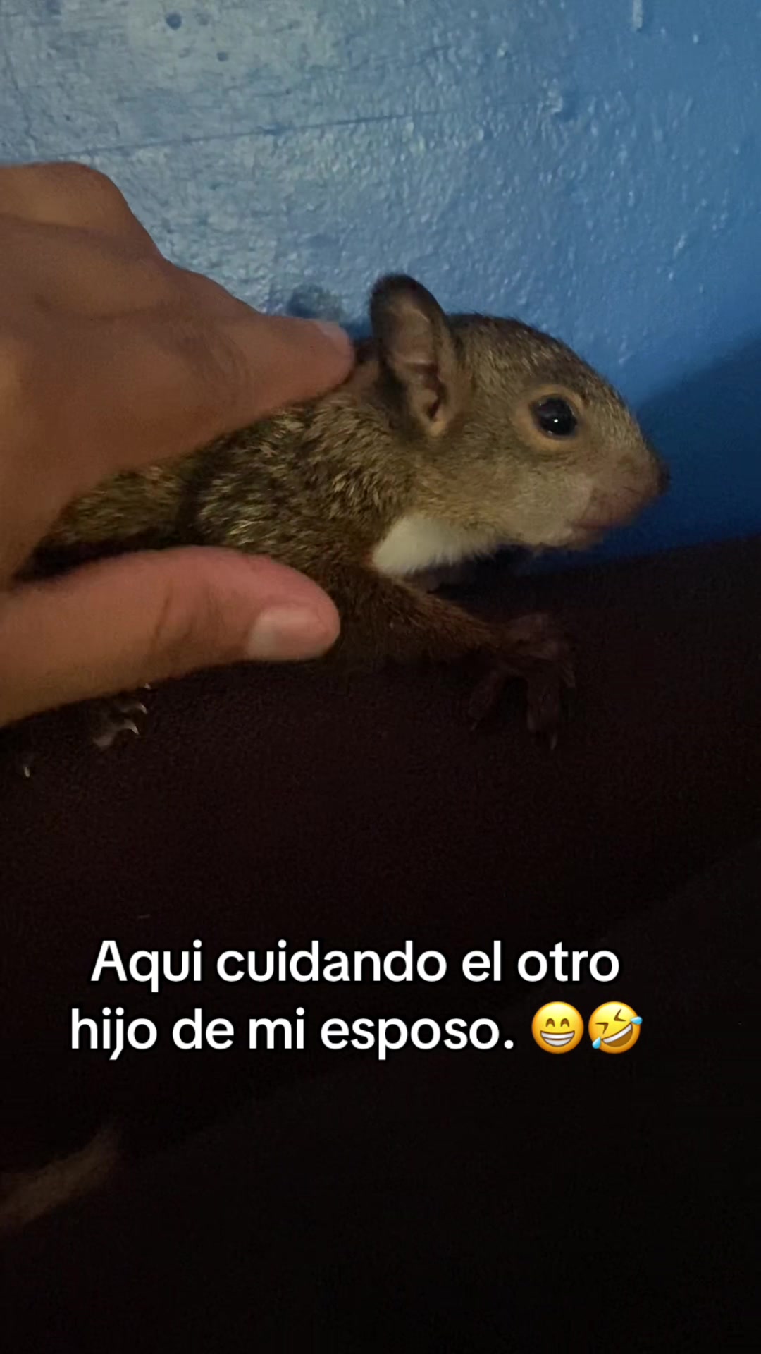 @sofi❤️🌹