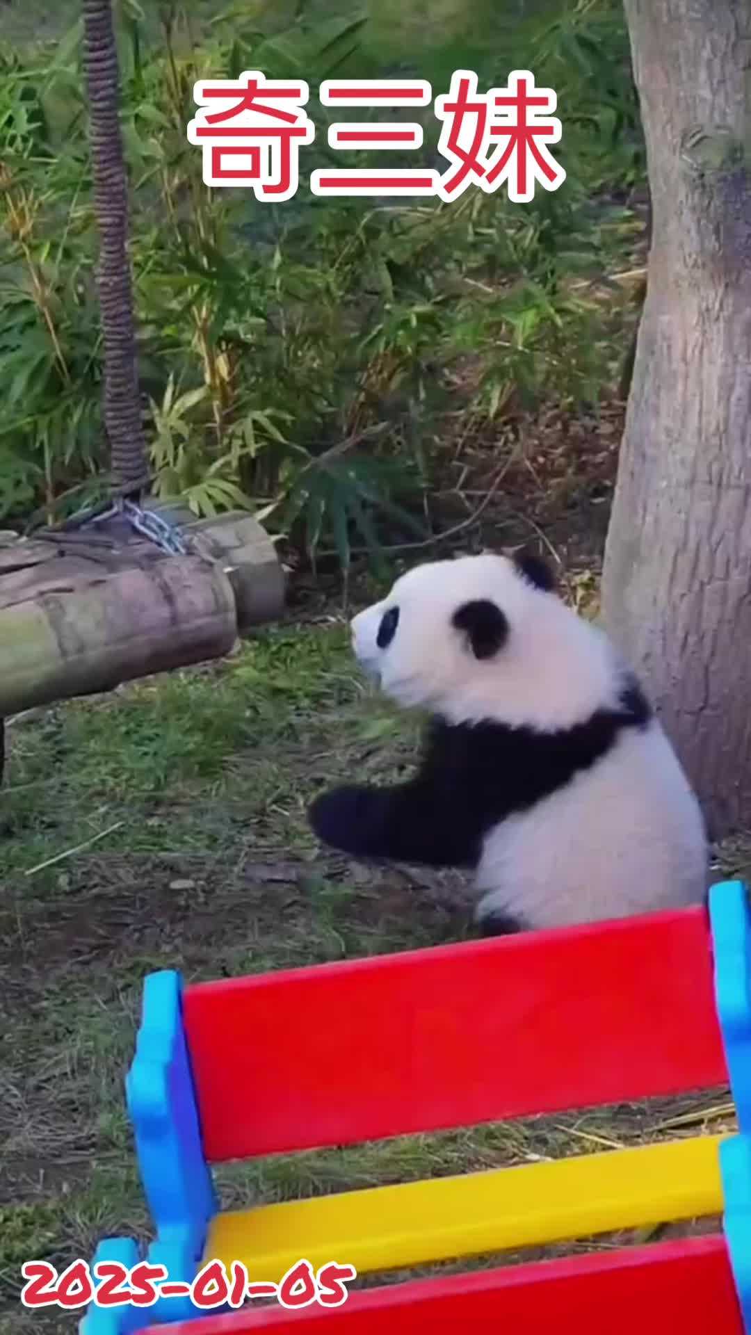 @一生等待