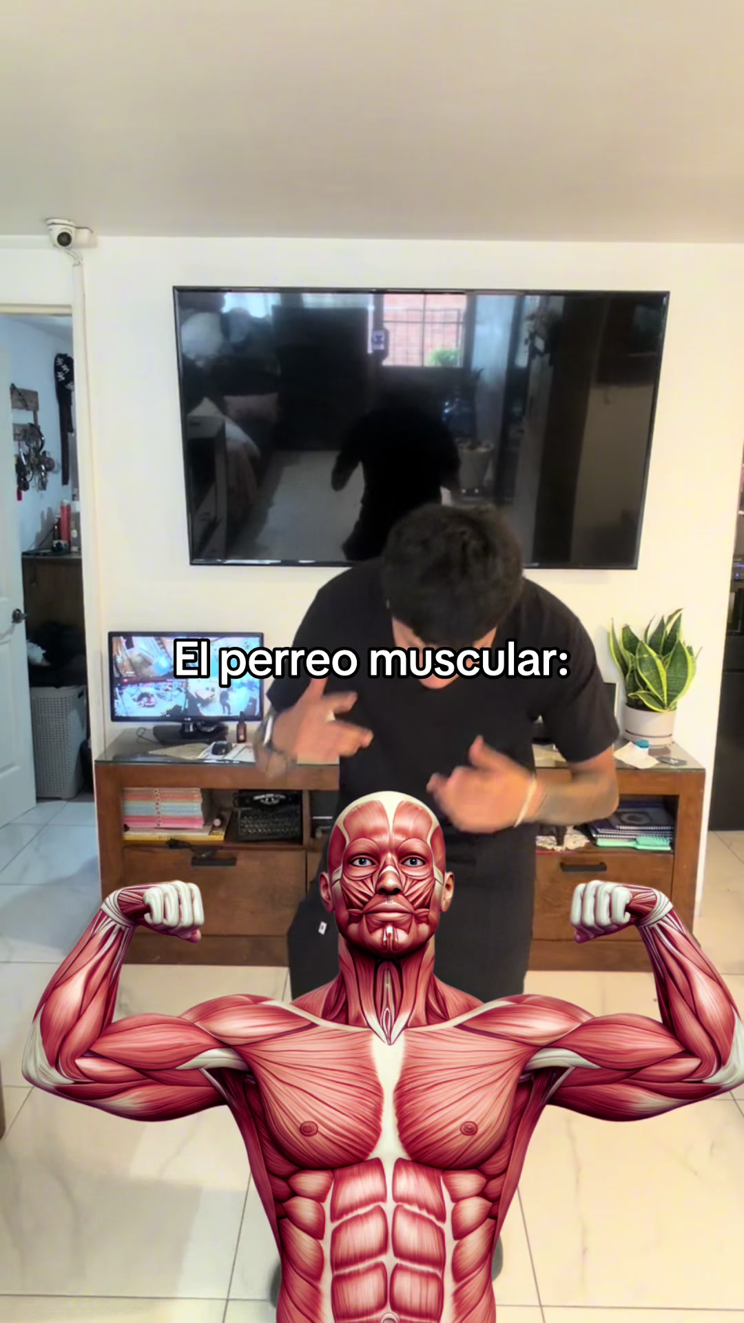 @ENDOBOY