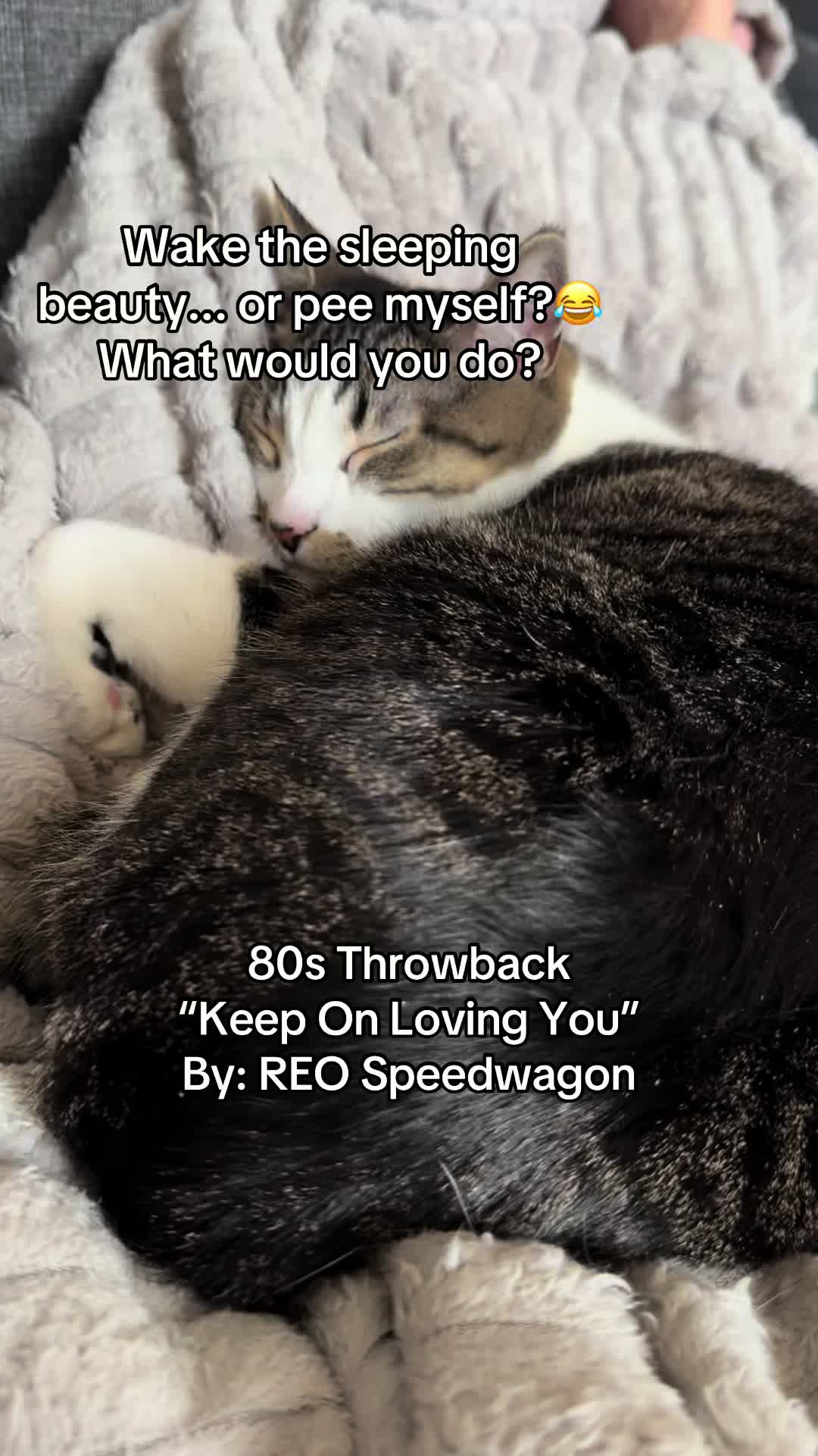 @TLR9992