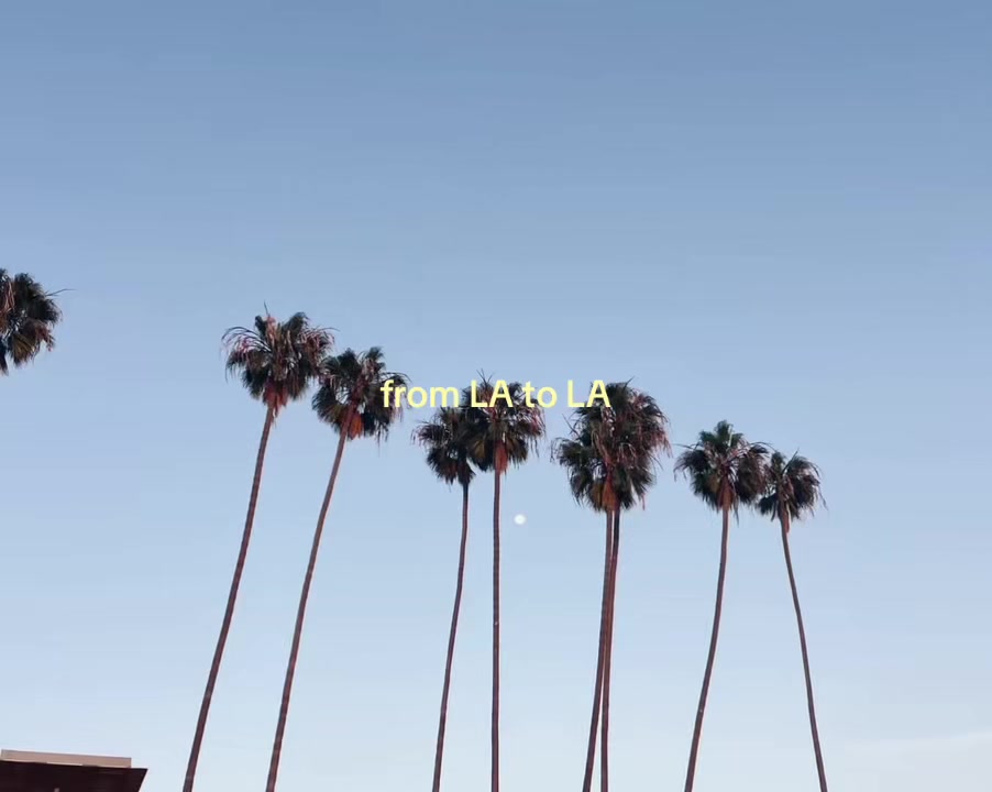 @ida