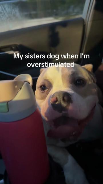 @lizzieefaith