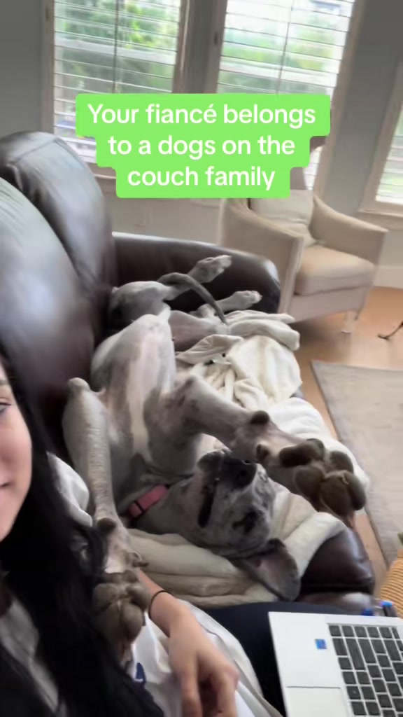 @Calliope & Athena Bleu