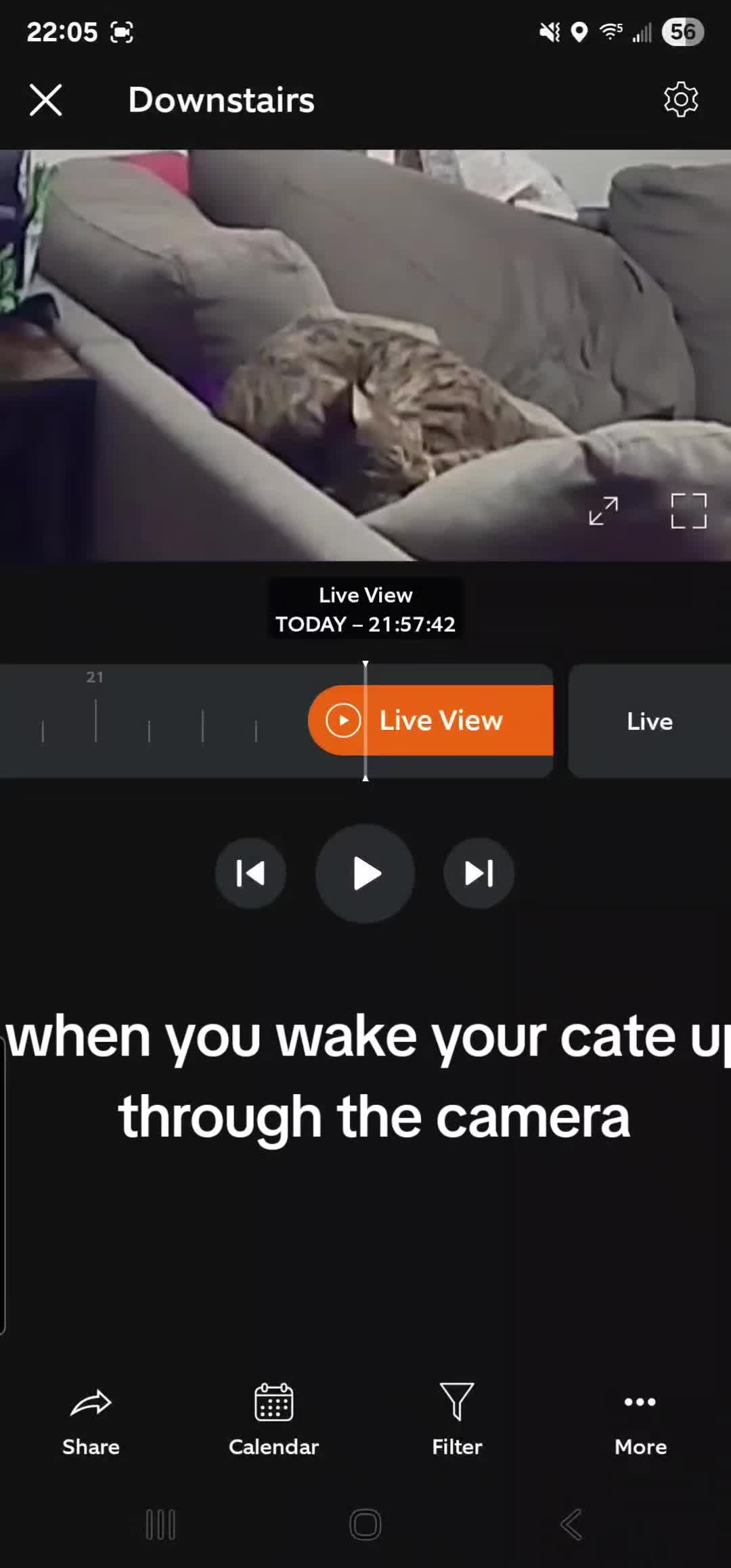 @letsseewhathappens