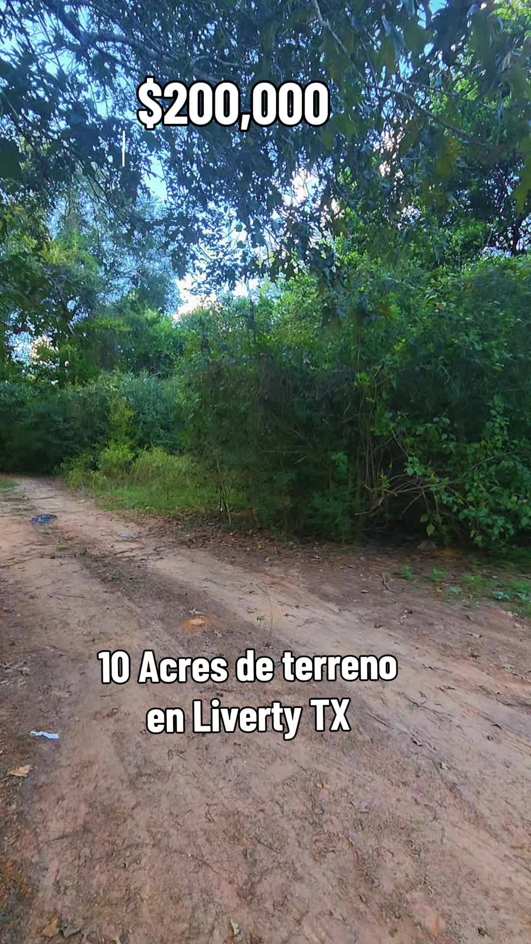 @Frank Flores