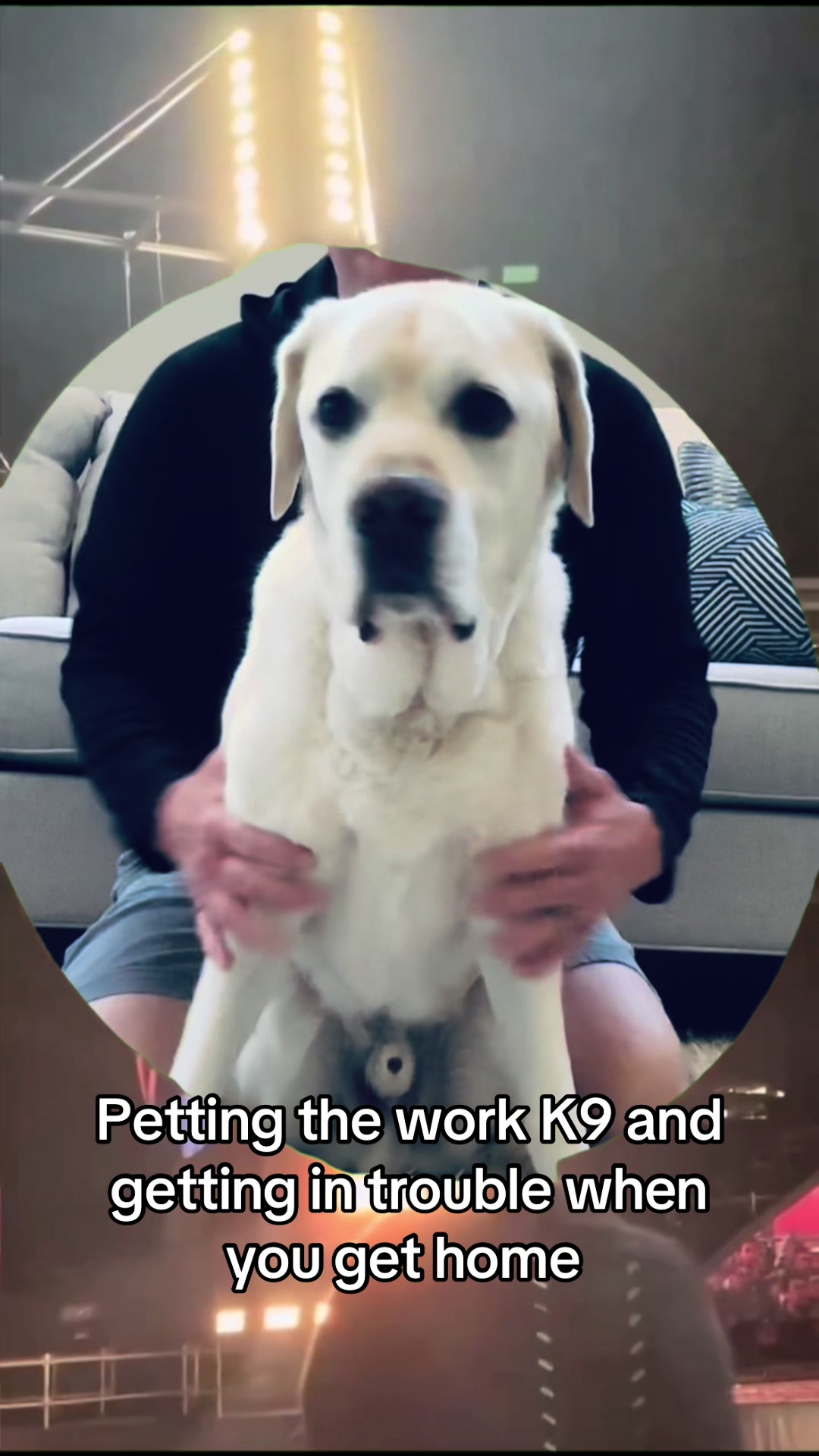 @K9_Raider