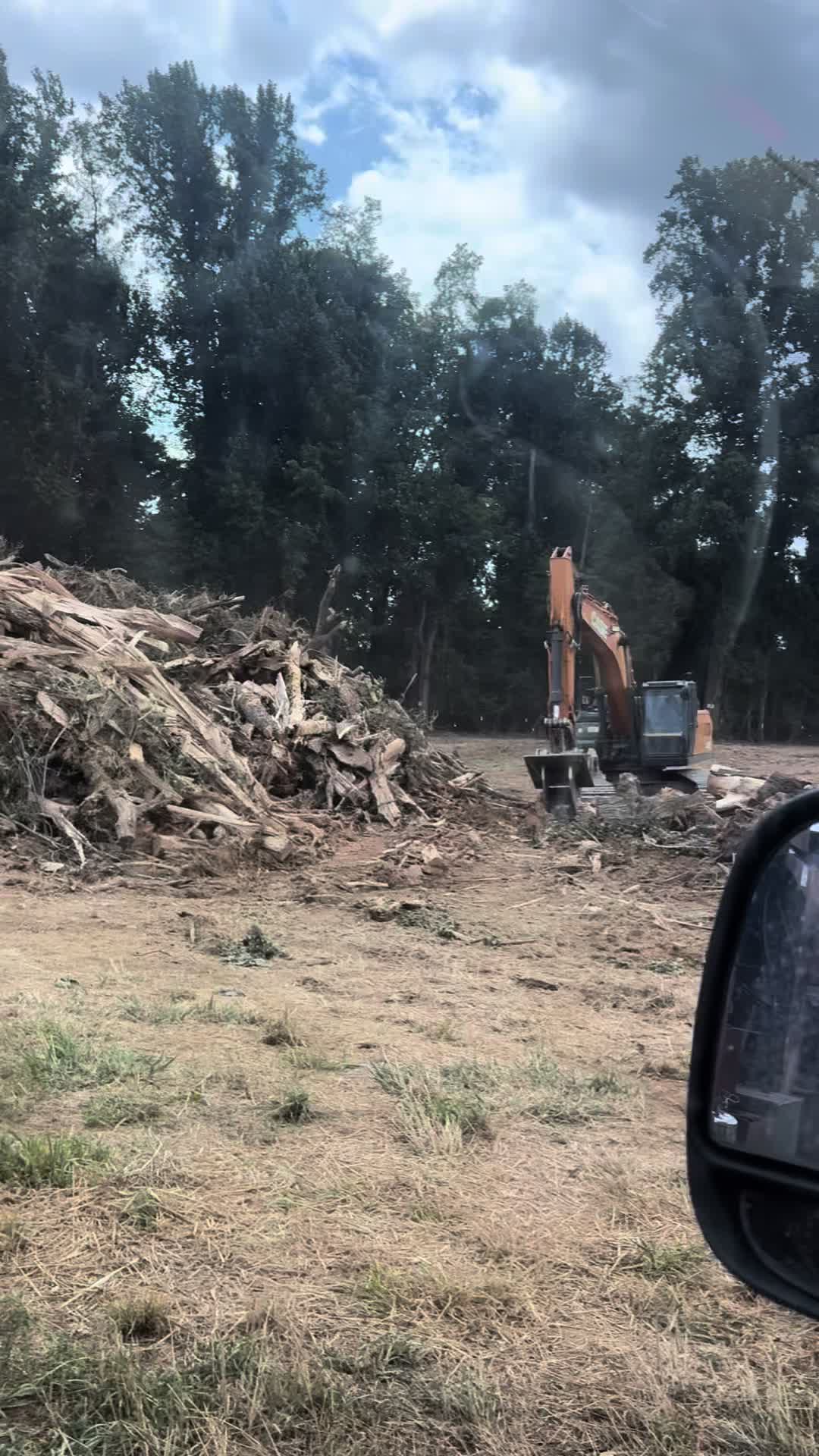 @Ron Bull The tree surgeon