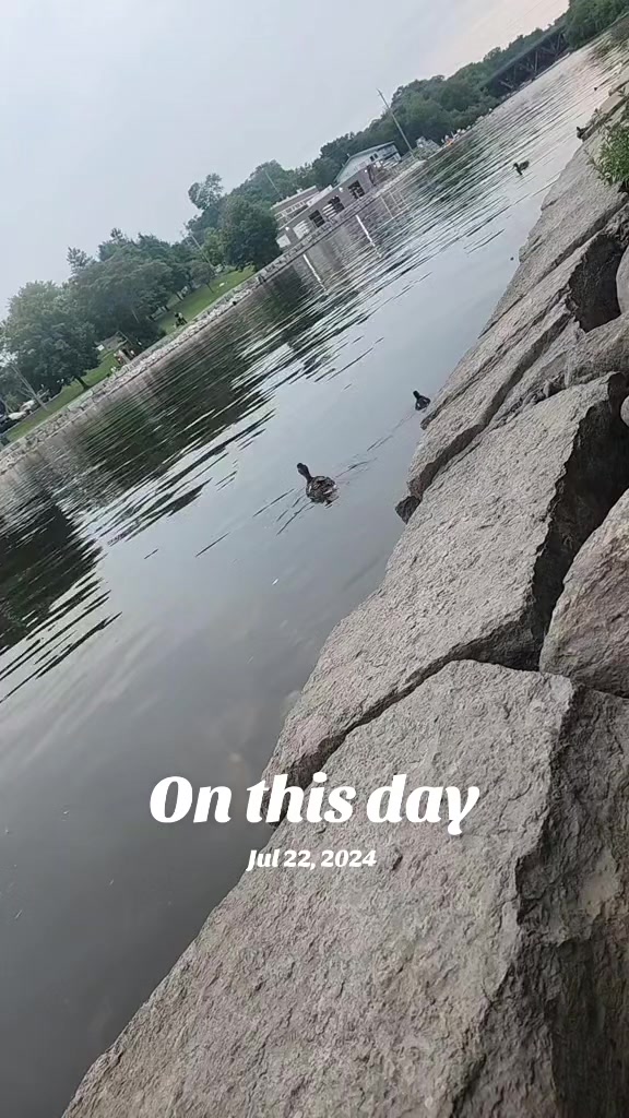 @Raj Aarav Singh