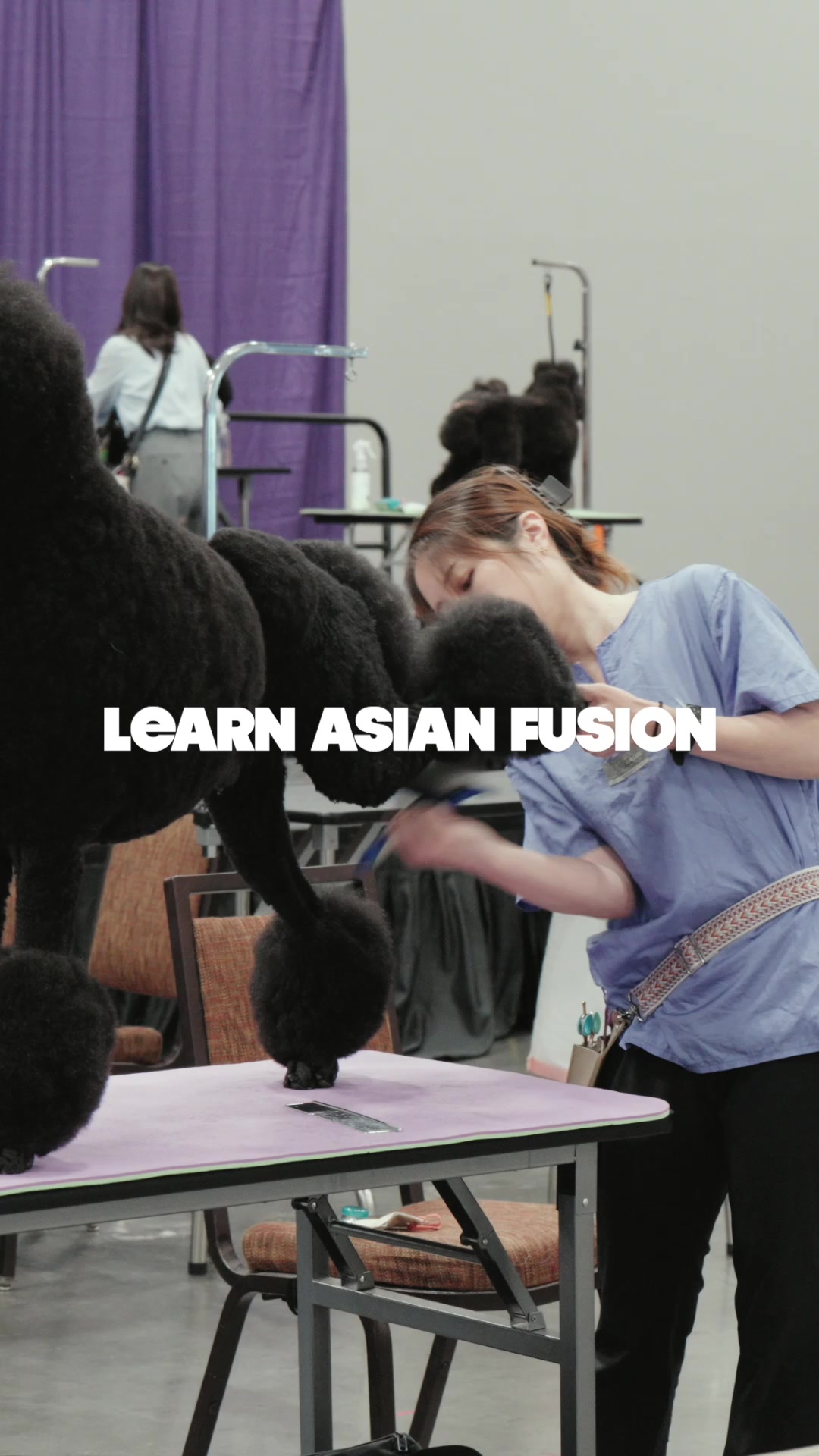 @NorCal Grooming Academy