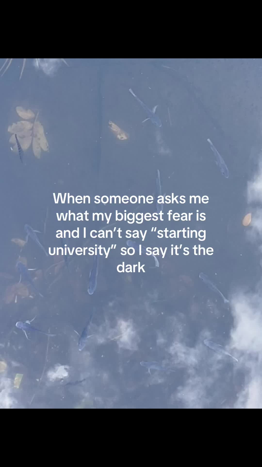 @Lee🤍