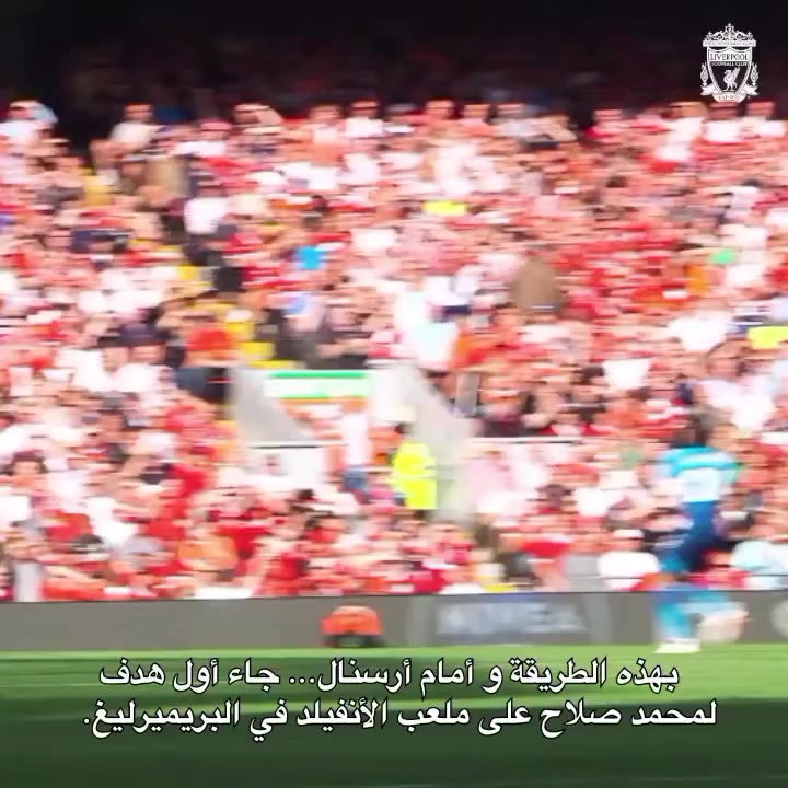 @الـدون بـيـكاسـو | Pic8