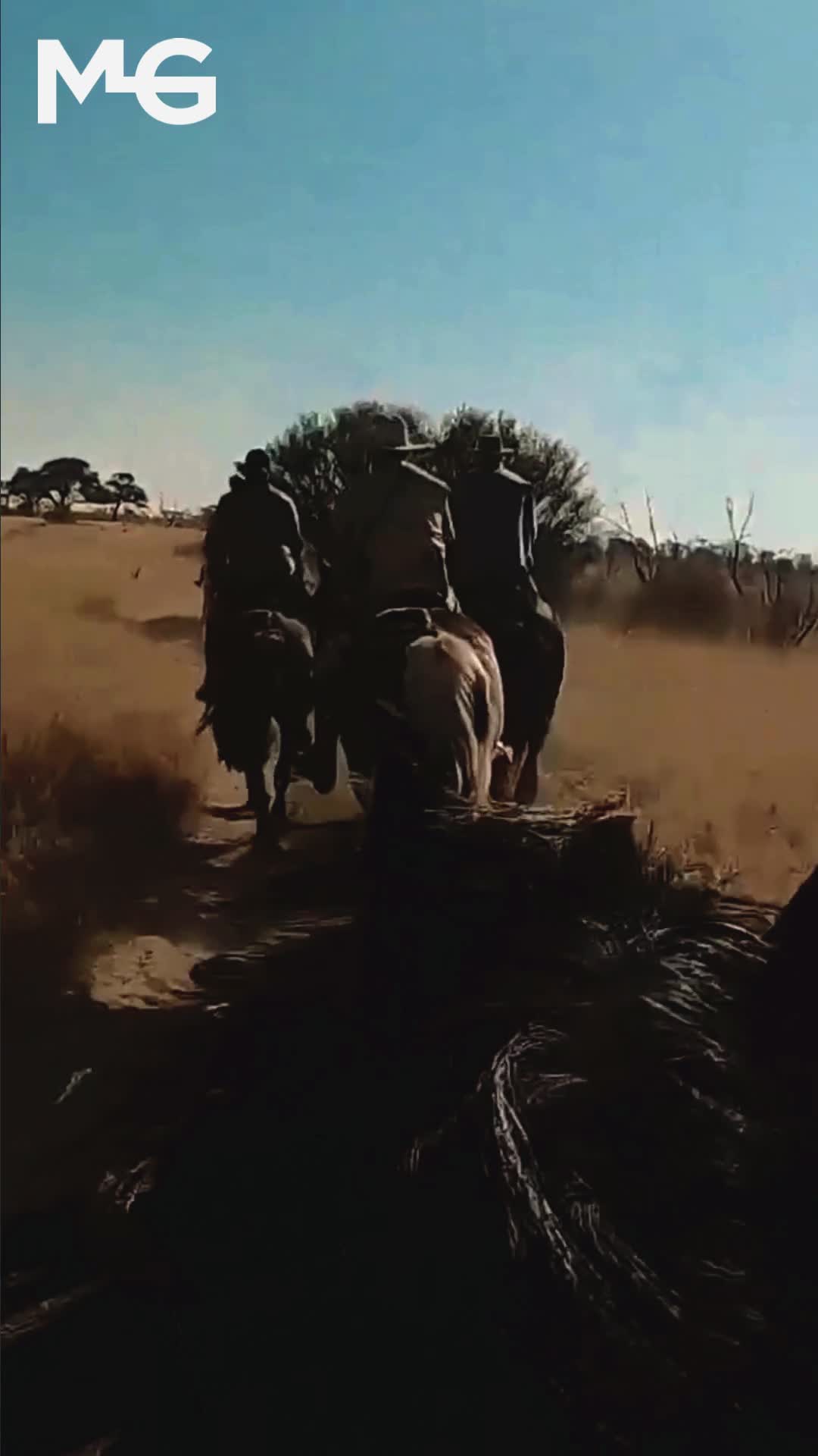@Horse Help
