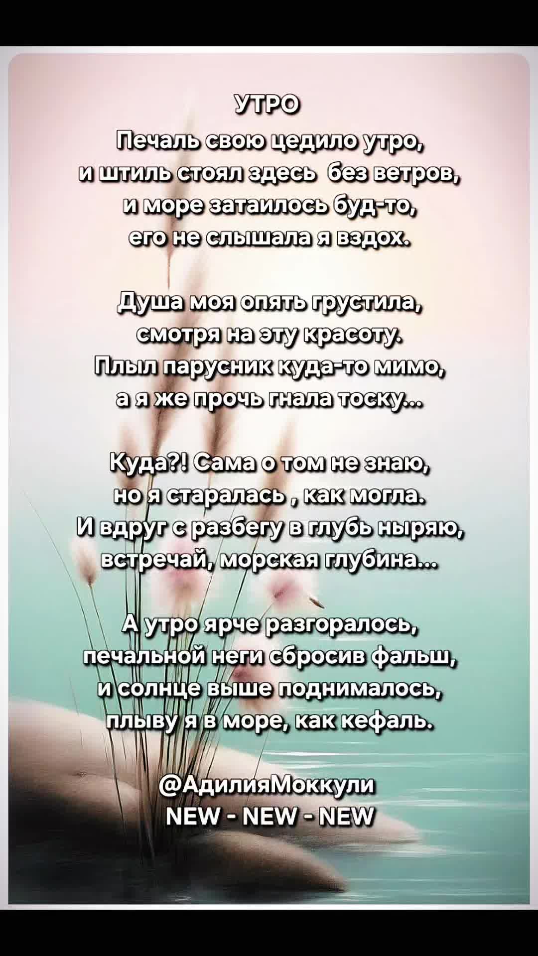 @Адилия Моккули