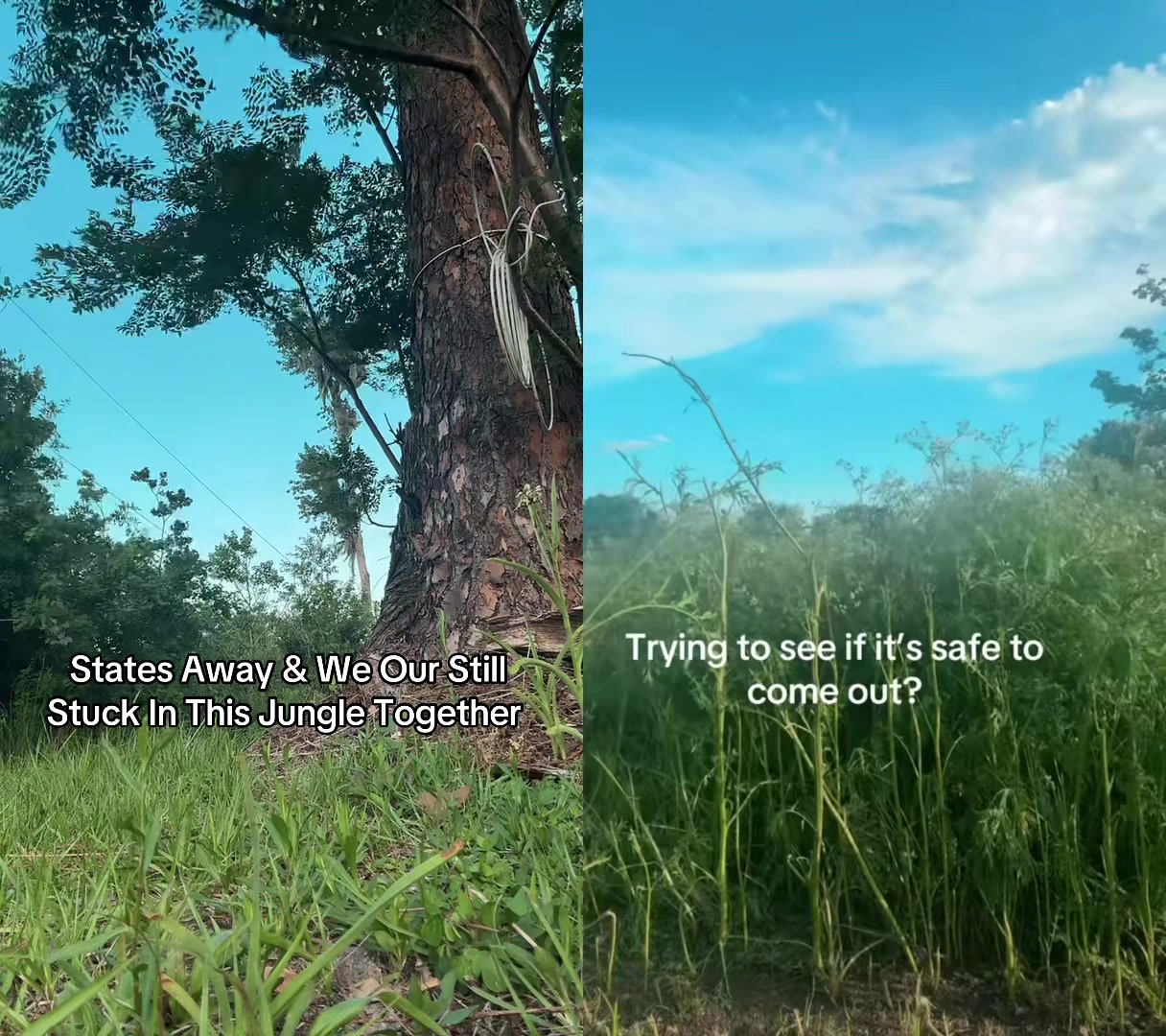 @🍌AnnaBanana🍌