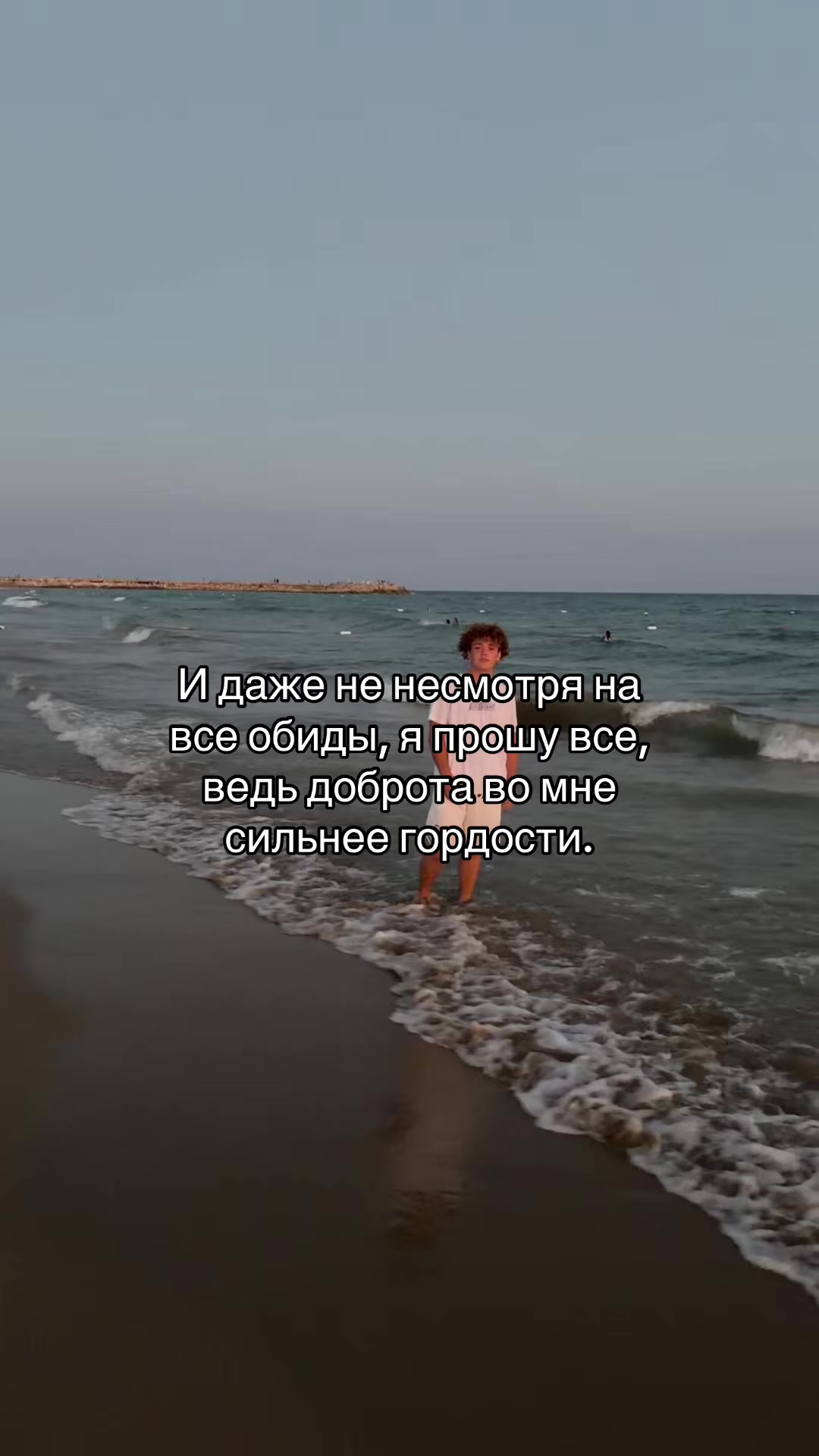 @dimkafenibutov