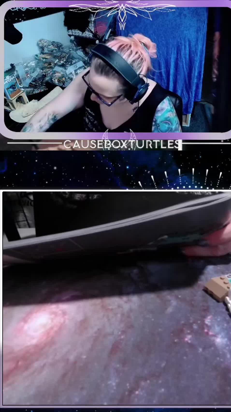 @CauseBoxTurtles🆘️🇺🇲