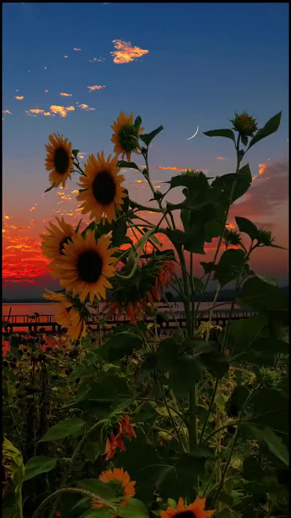 @Beauty of nature❤️