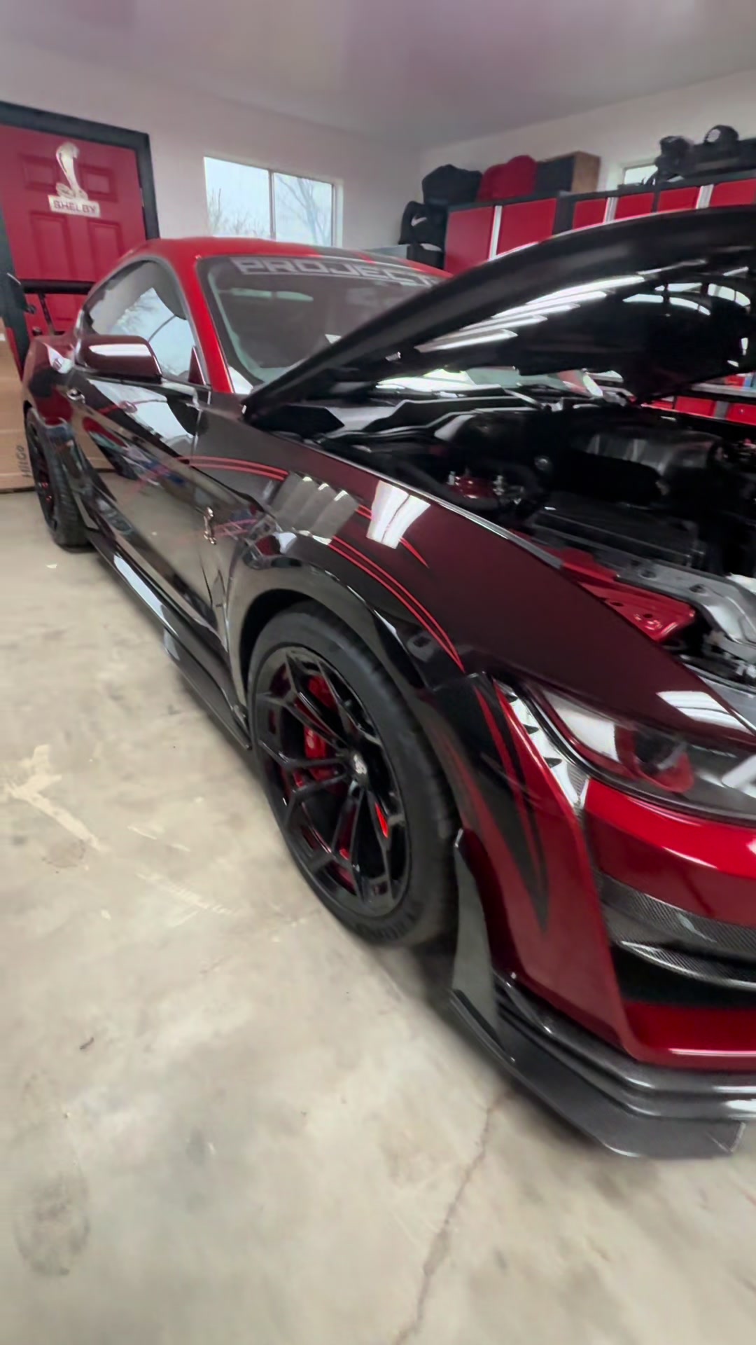 @tracysgt500
