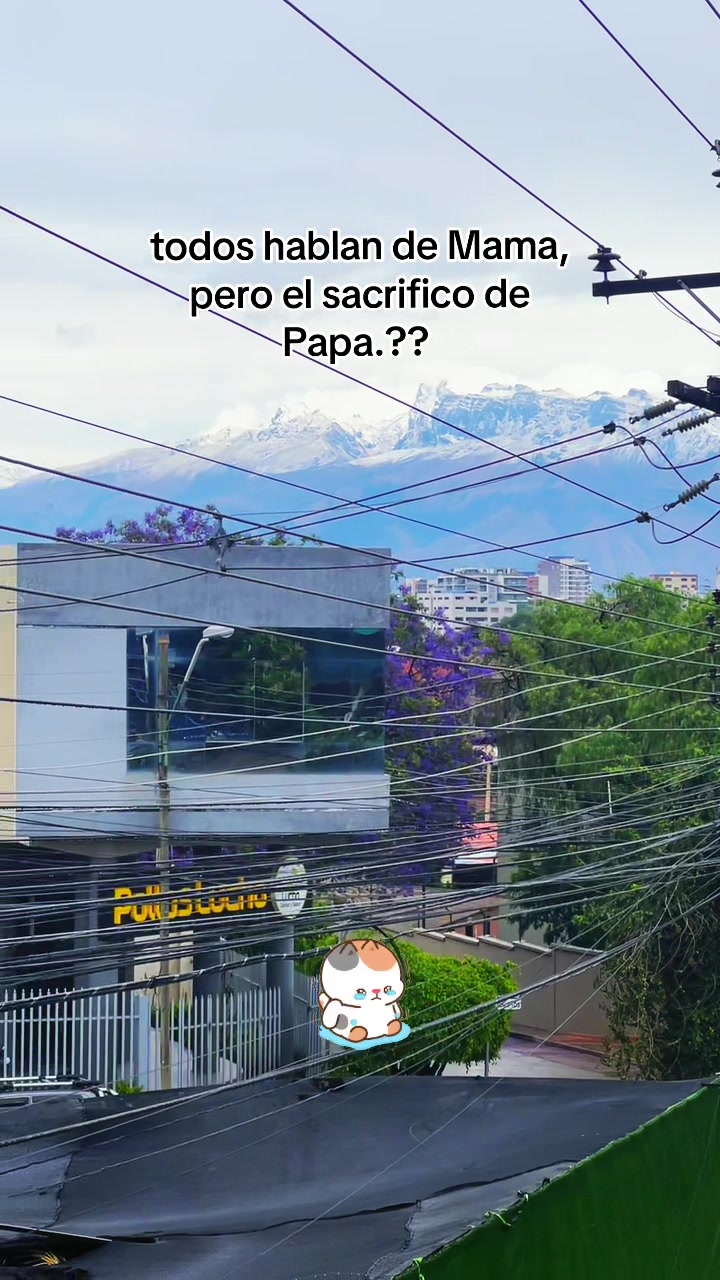 @ D 🙇🏻