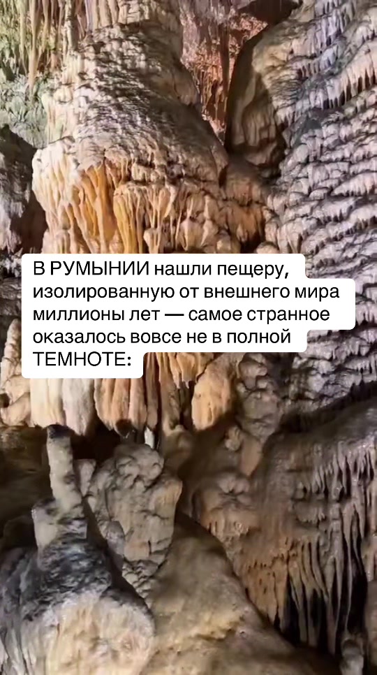 @Елена Алфёрова
