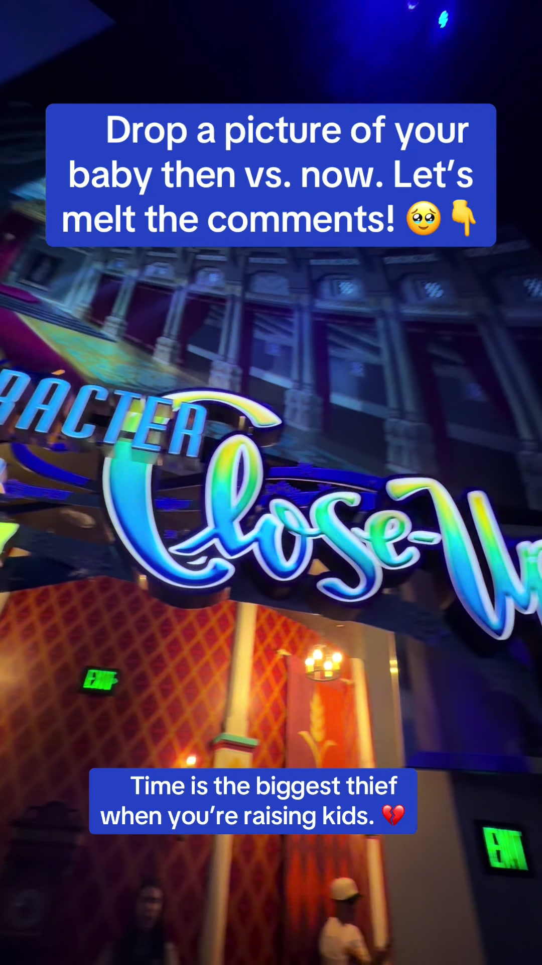@tinarosethemeparklife