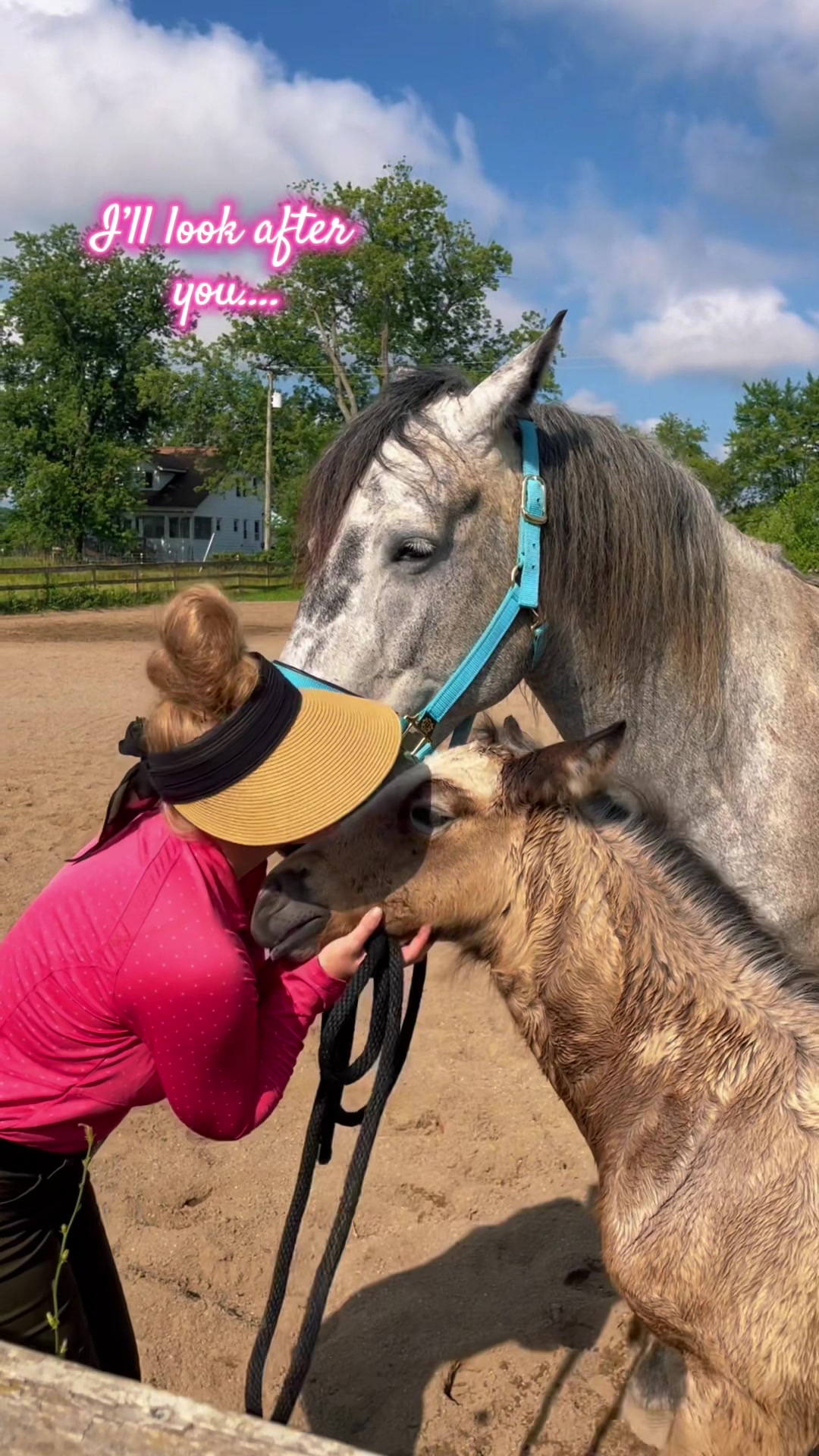 @Free Spirit Equestrian