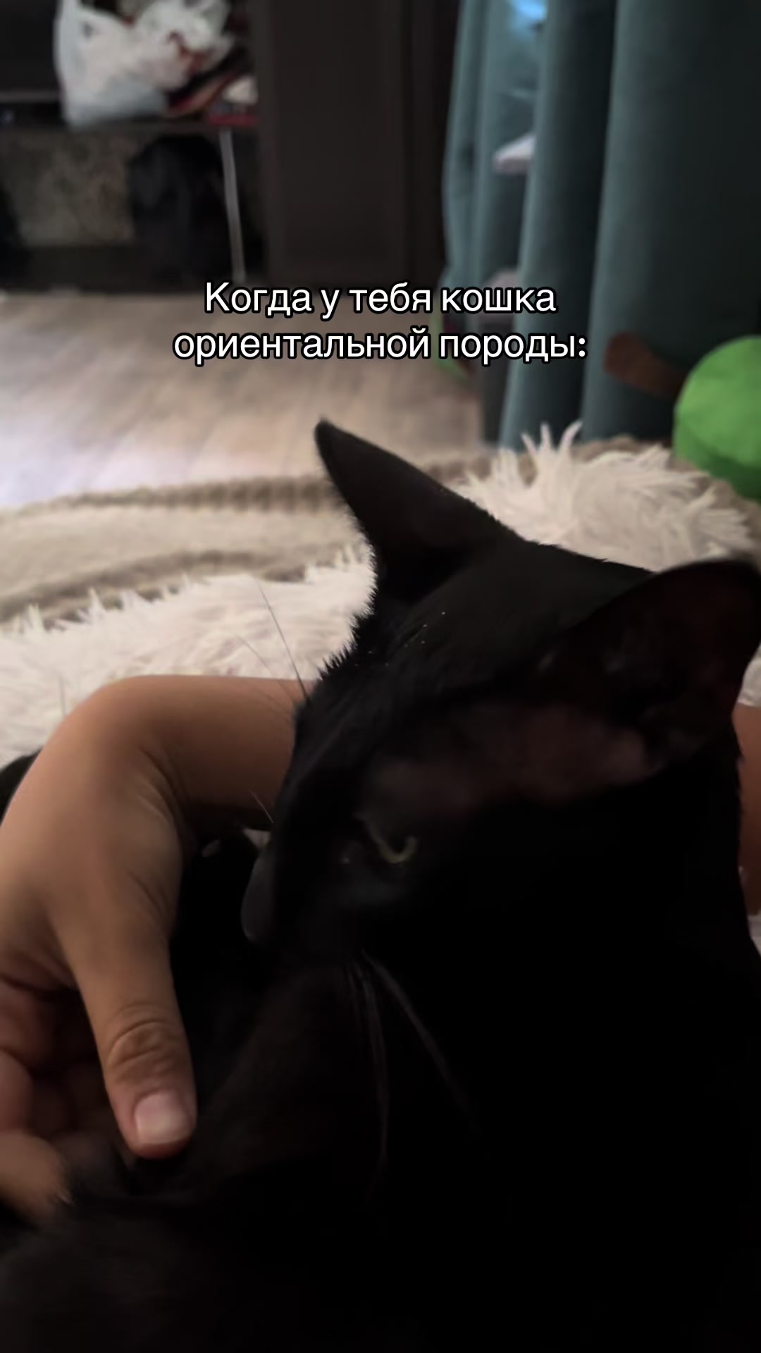 @Диана