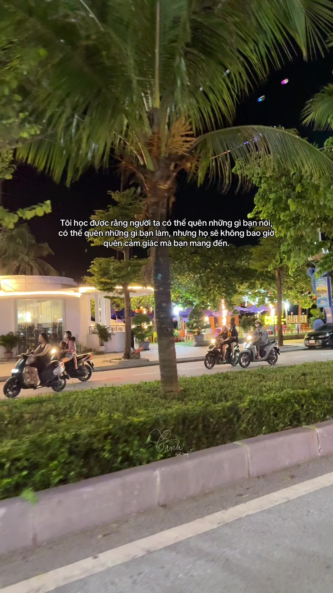 @Reels của Tình 🫧