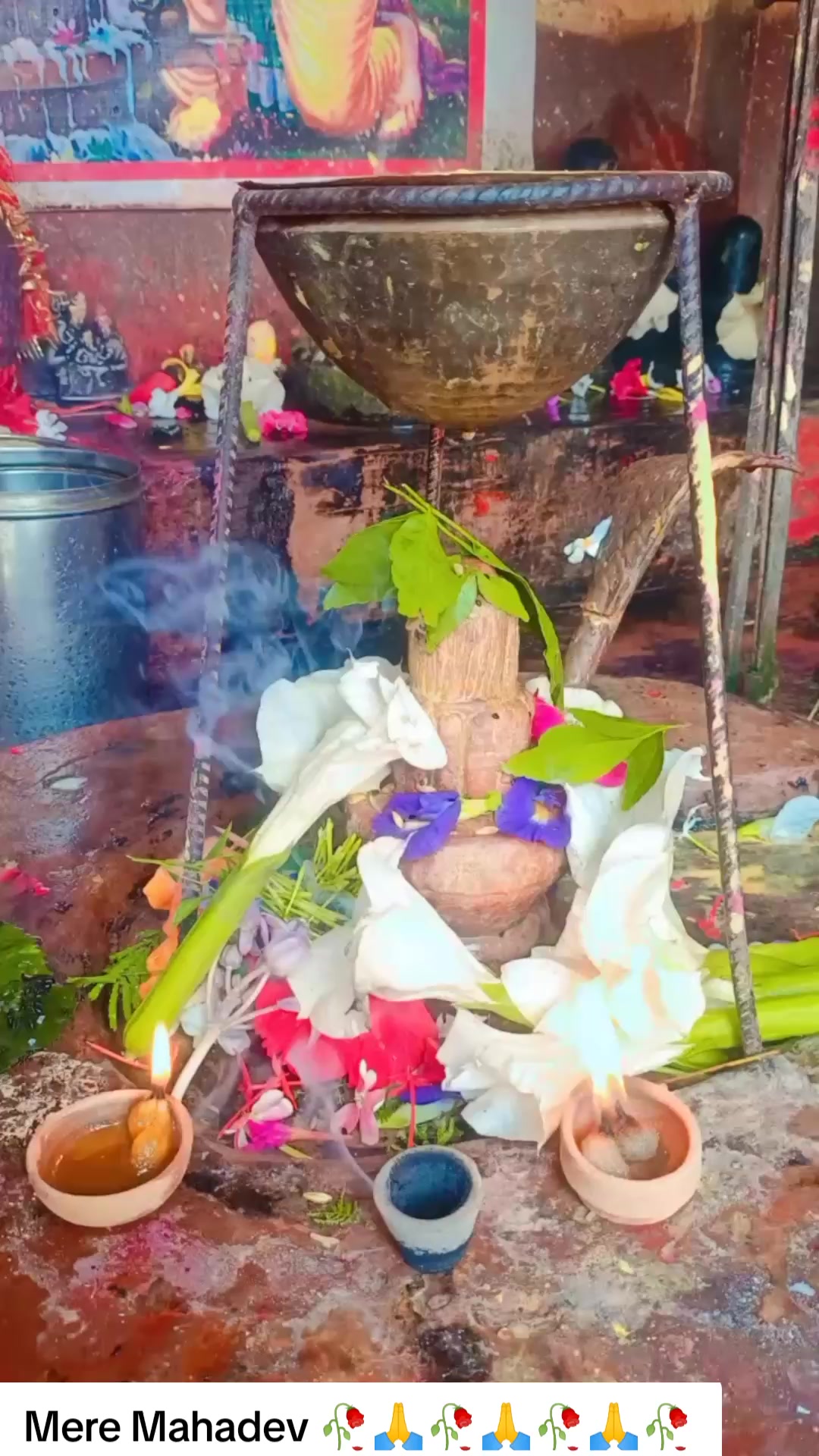 @SharbanSunitaRoyYadav861🤞❣