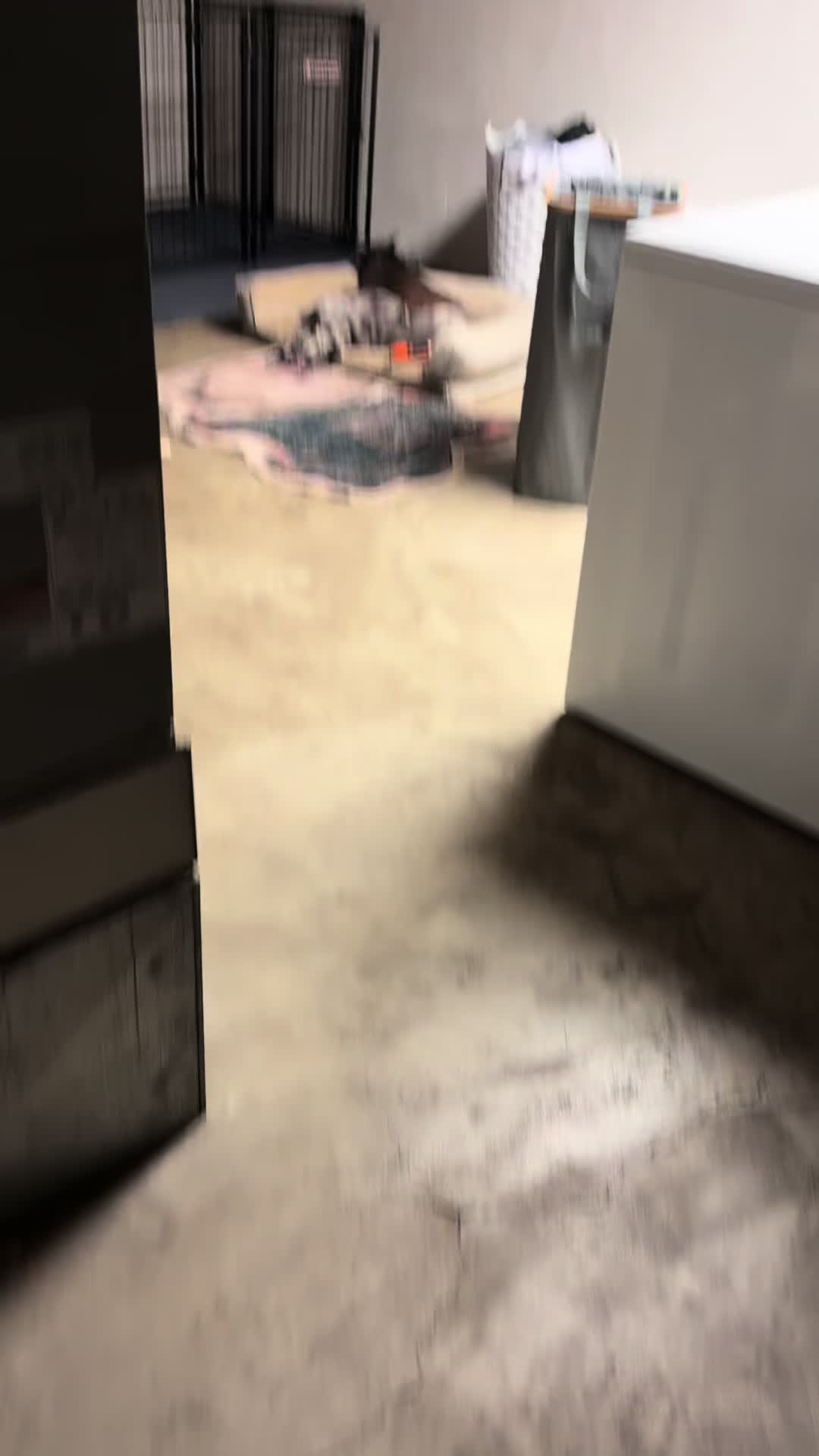 @Lifewithmark