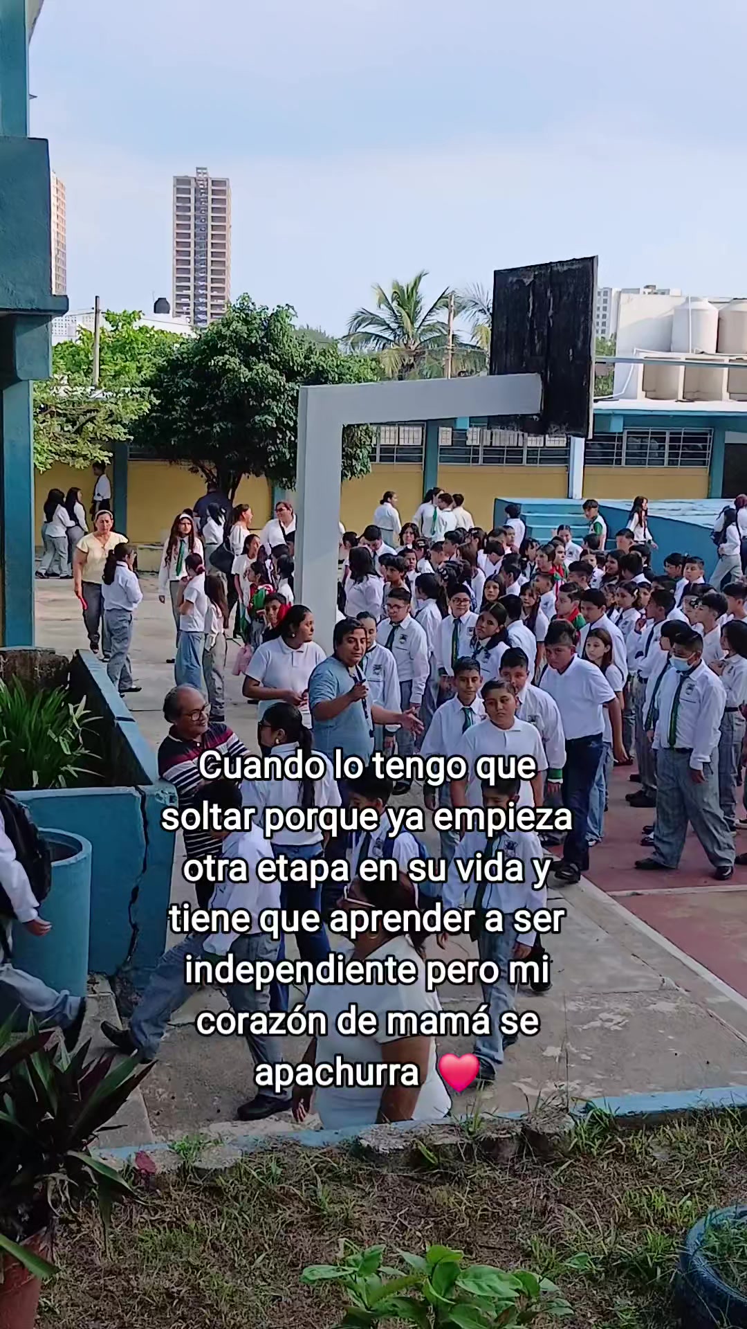 @Zhonii_Mtz